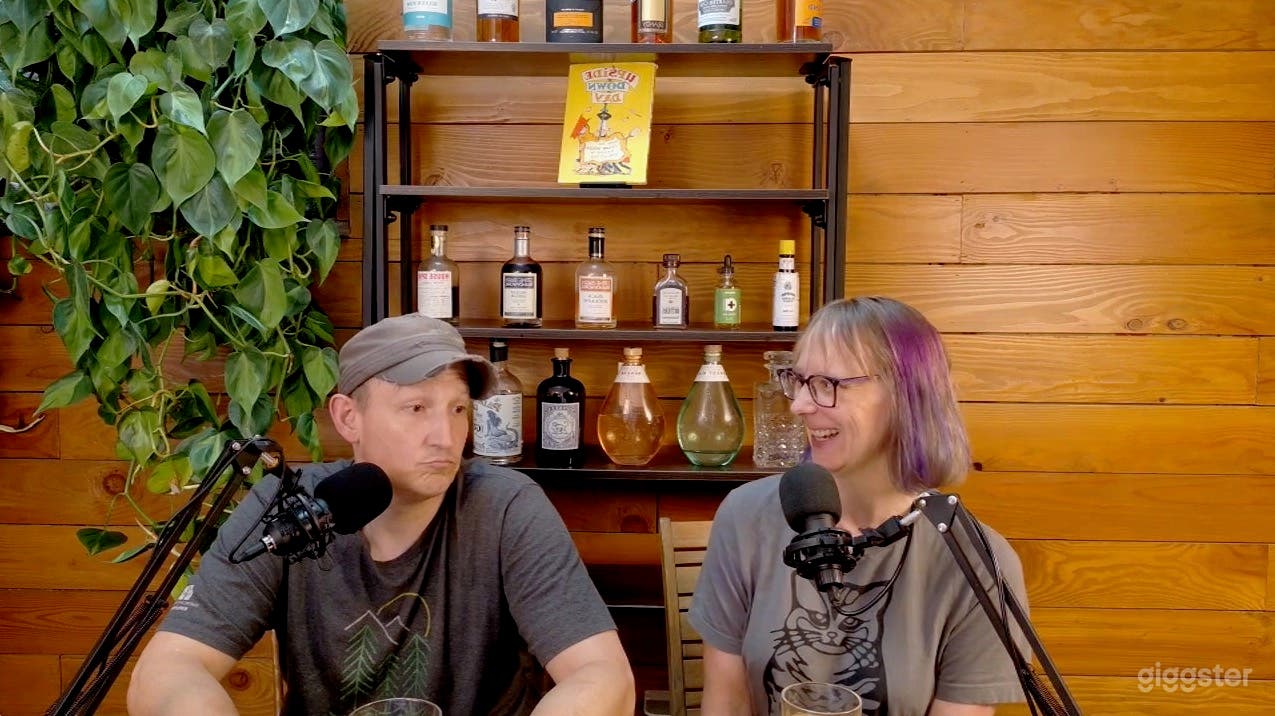 Artists' Studio: beautiful podcast setup! Camera/lights/mics Photo 1