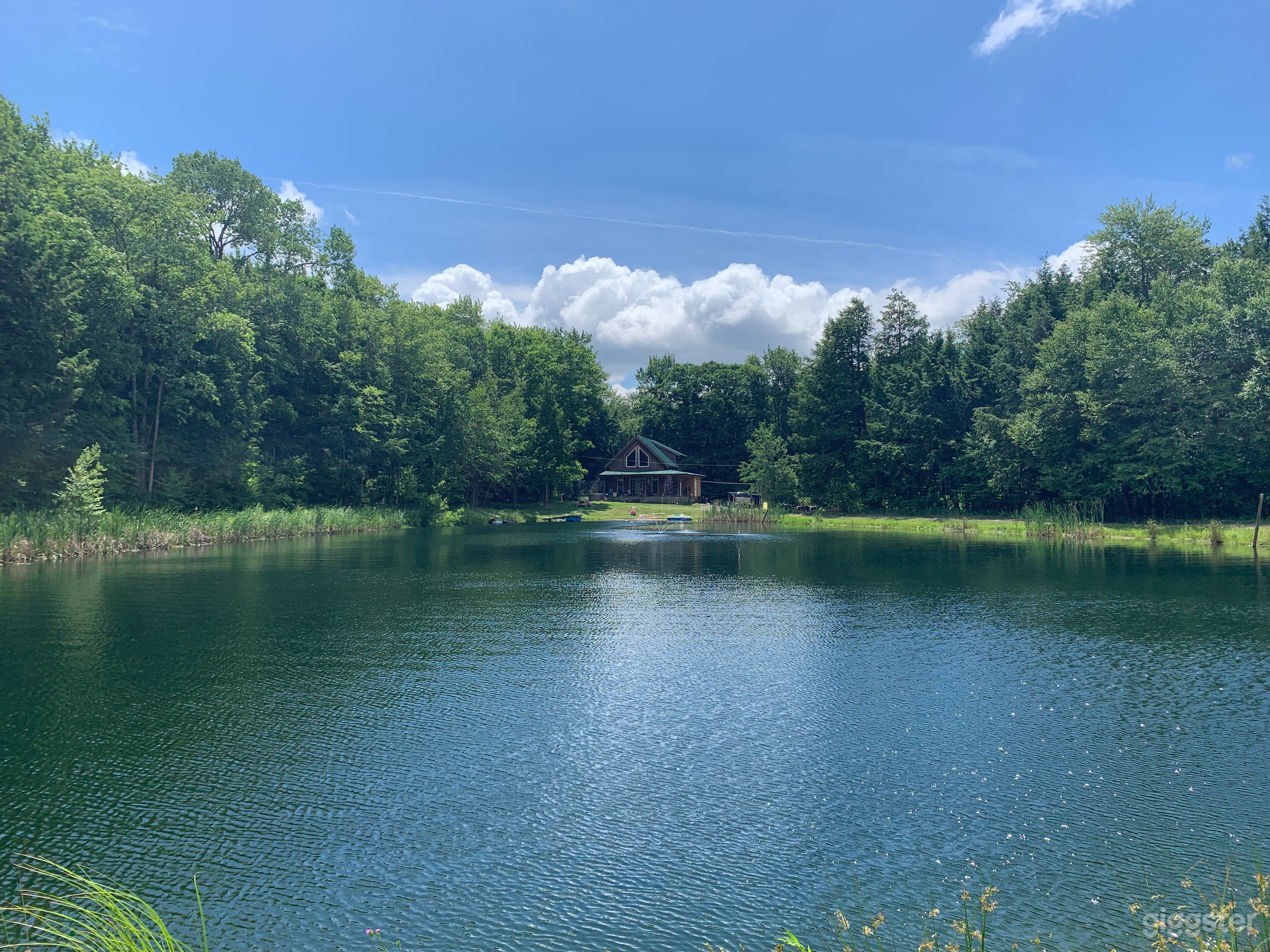 A literal Cabin in the Woods. Photo 1