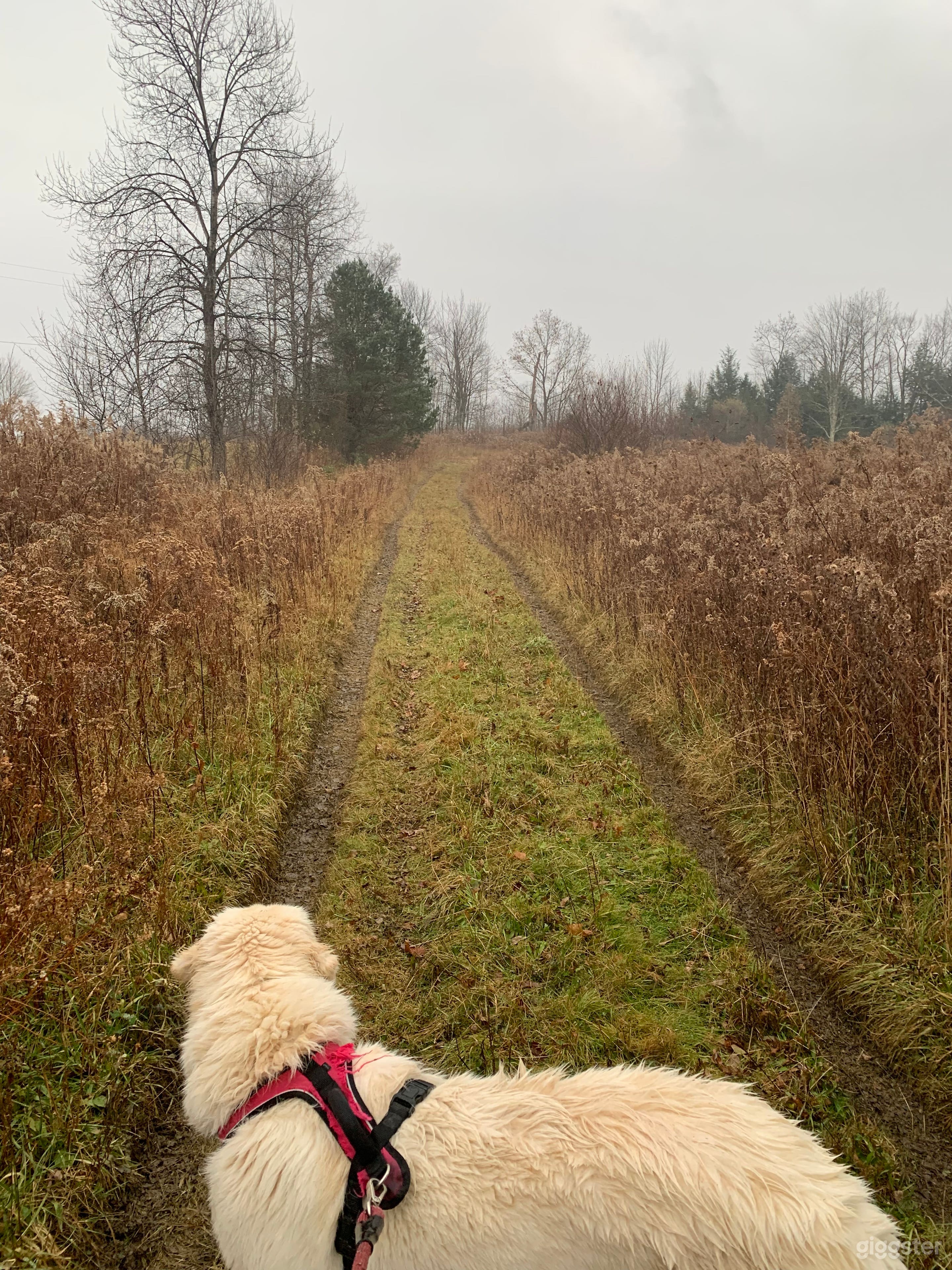 A literal Cabin in the Woods. Photo 4