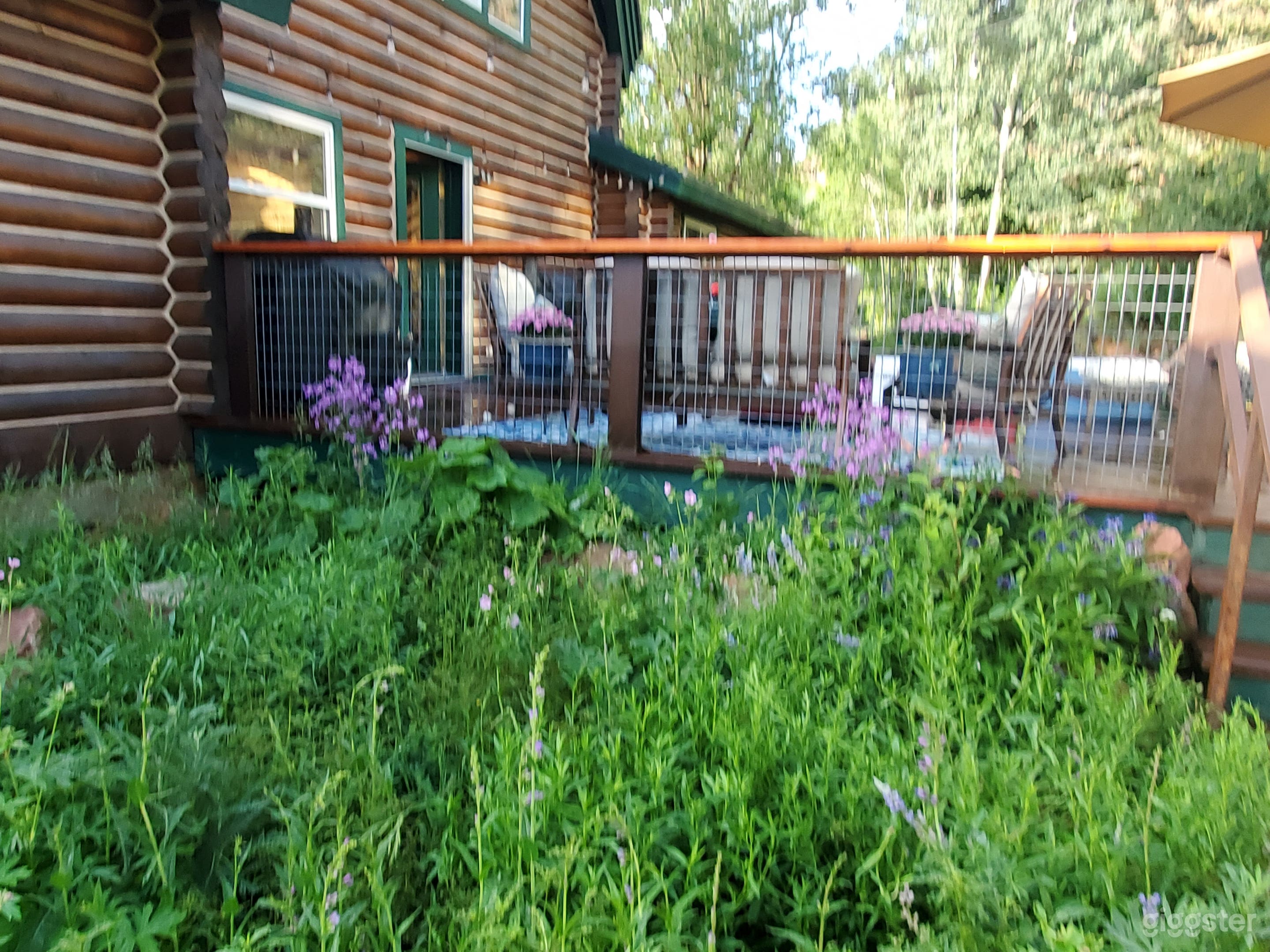 Green wildflower garden (June)