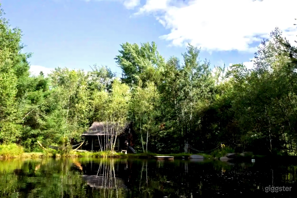 Woodland Backyard with Pond Photo 4
