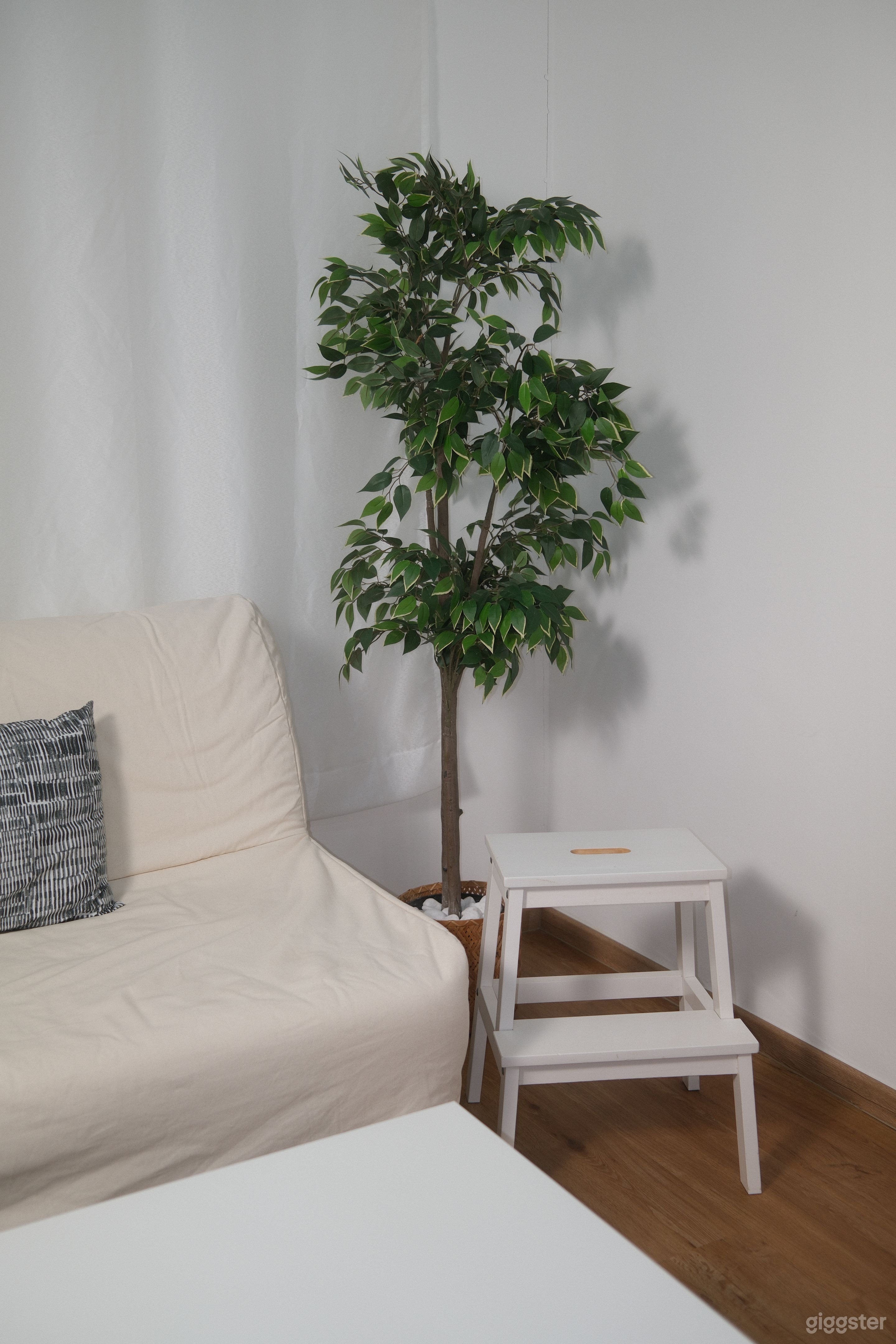 Simone's Studio Photo 2