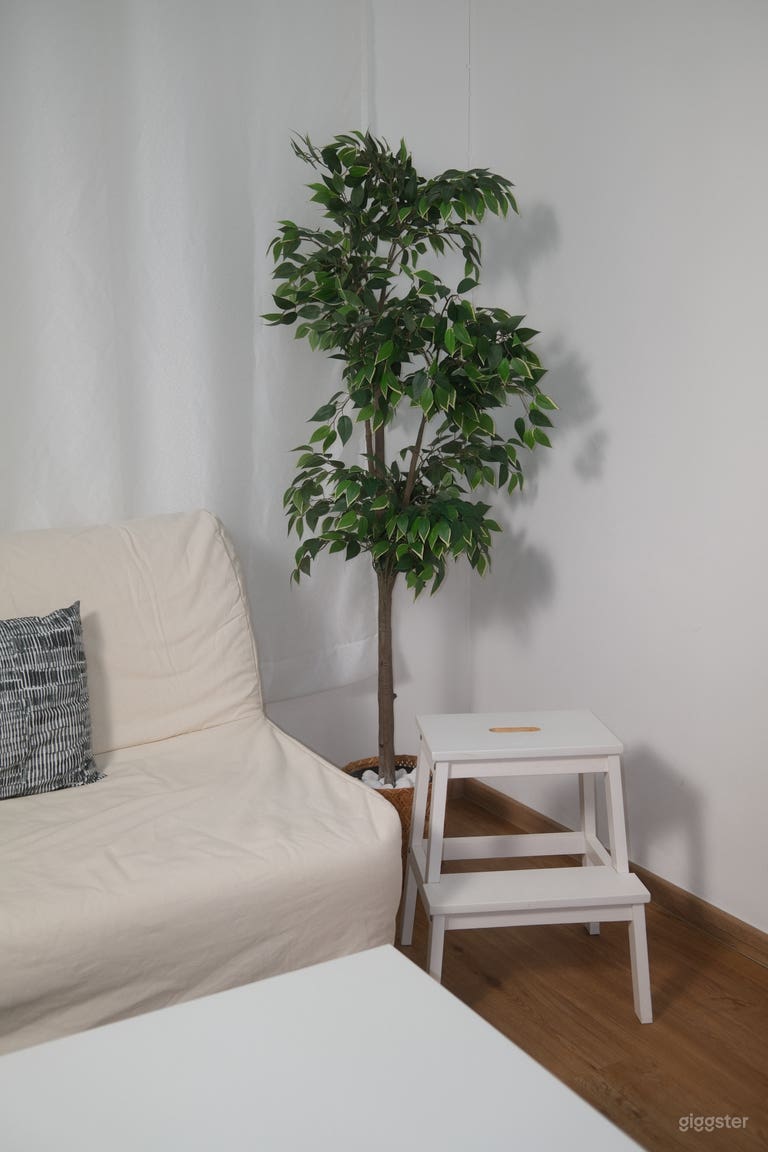  Studio de Simone 