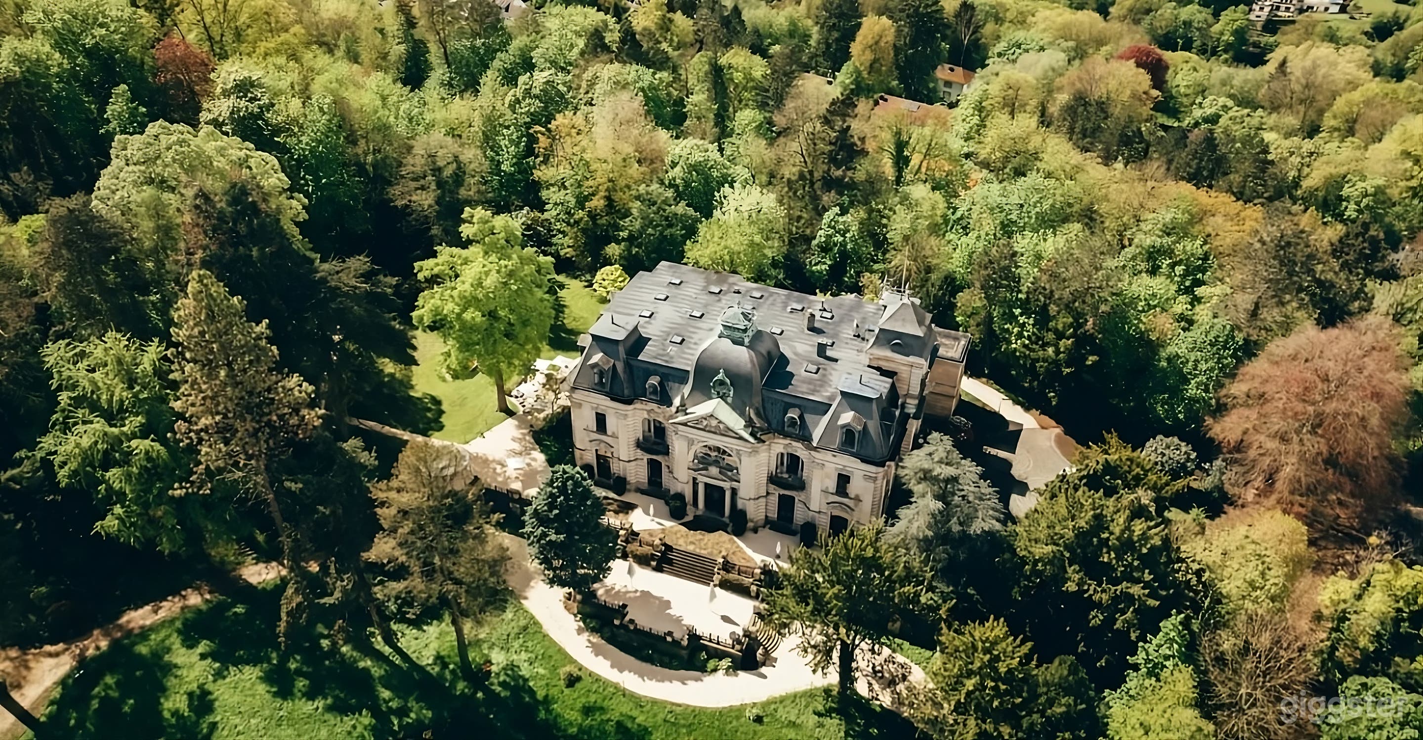 Stunning Mansion Backyard with Lush Gardens Photo 3