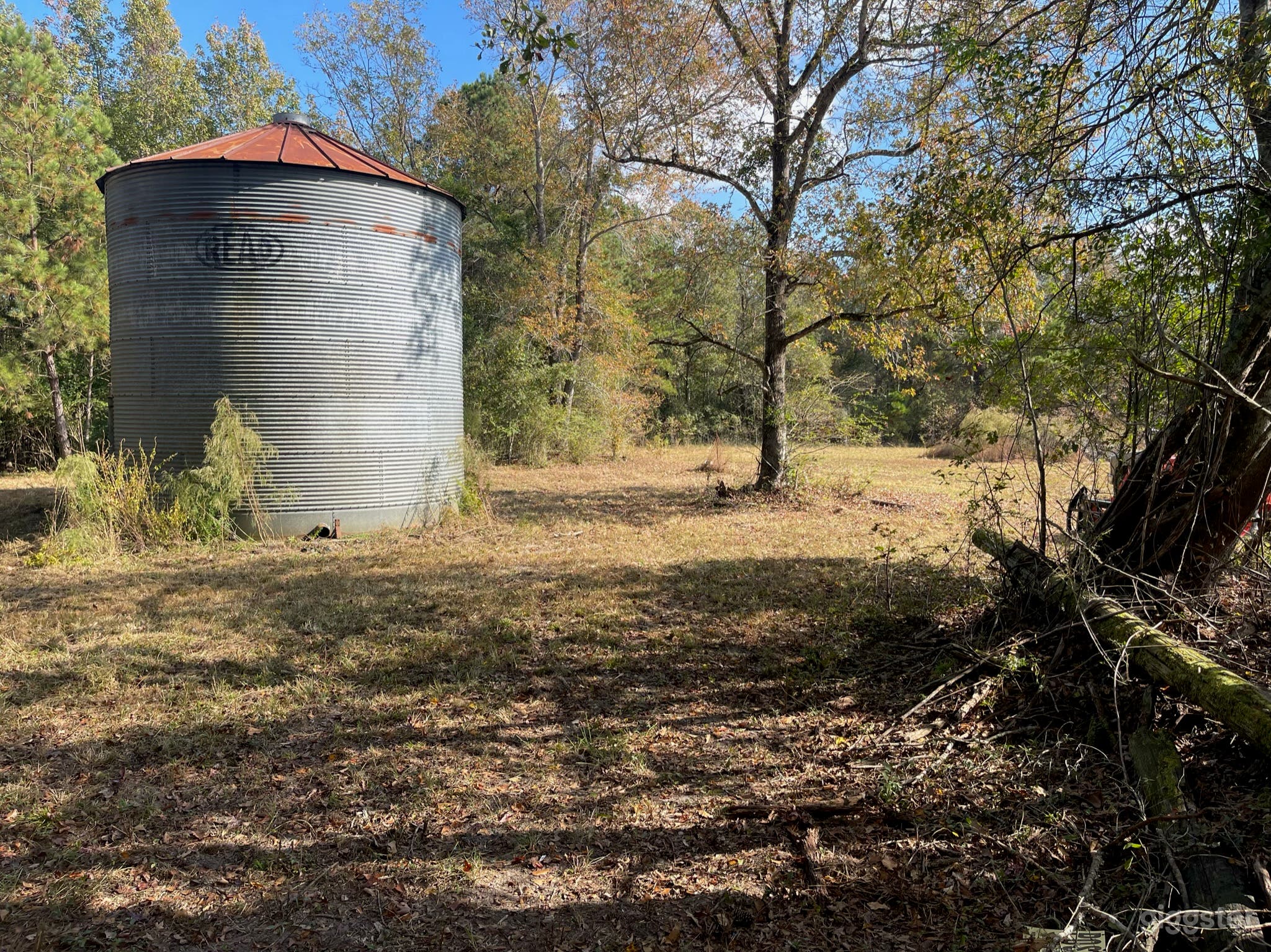 Ranch/farm…..lots of land, pasture & silos Photo 4