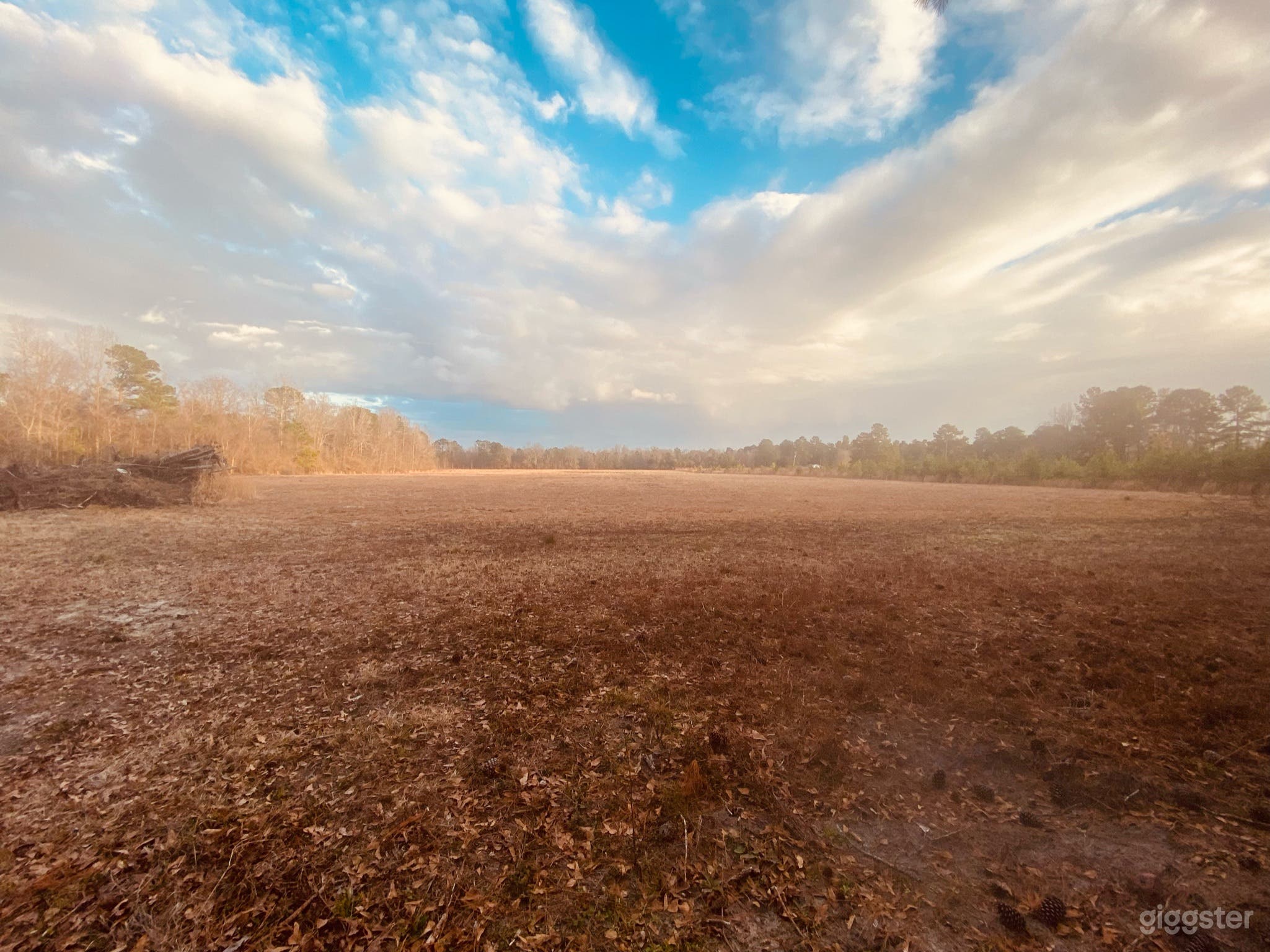 Ranch/farm…..lots of land, pasture & silos Photo 1