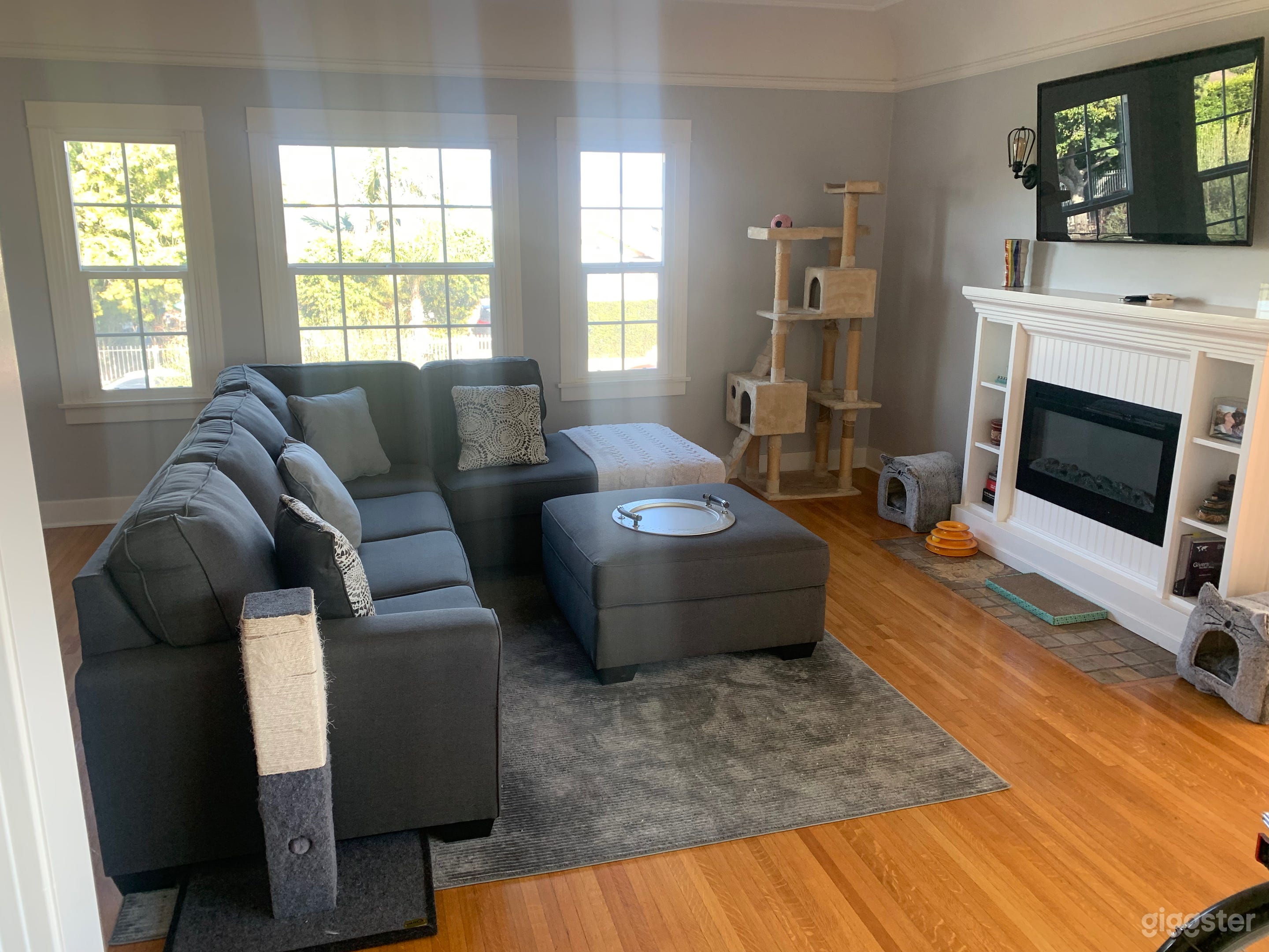 Mid City Apartment with lots of windows Photo 1