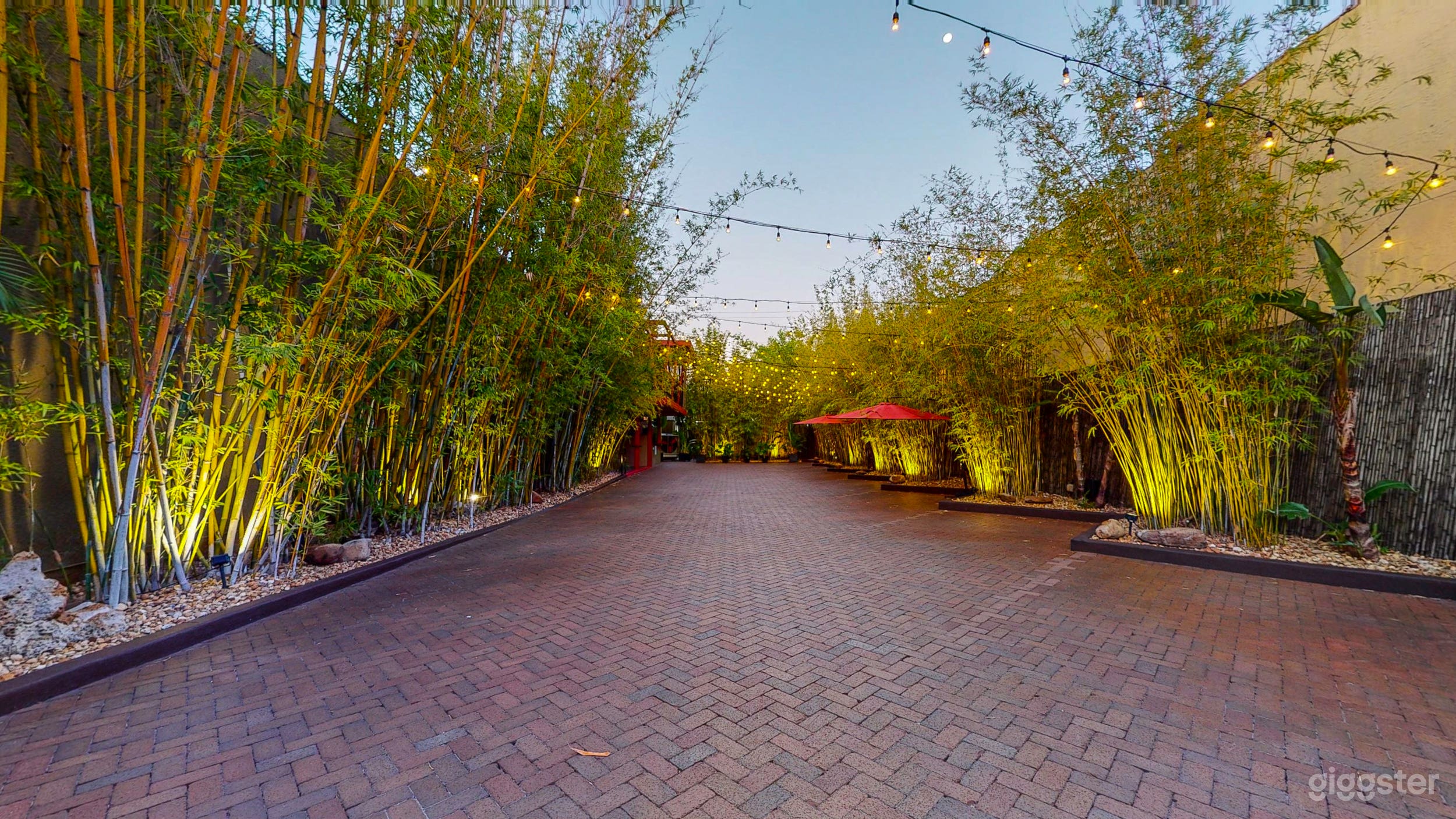 Bamboo Courtyard, looking east, NOVA 535, Downtown St. Pete, Florida. 