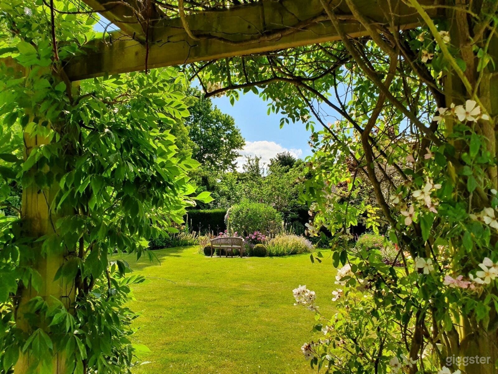 Enchanting Backyard and Garden Photo 1