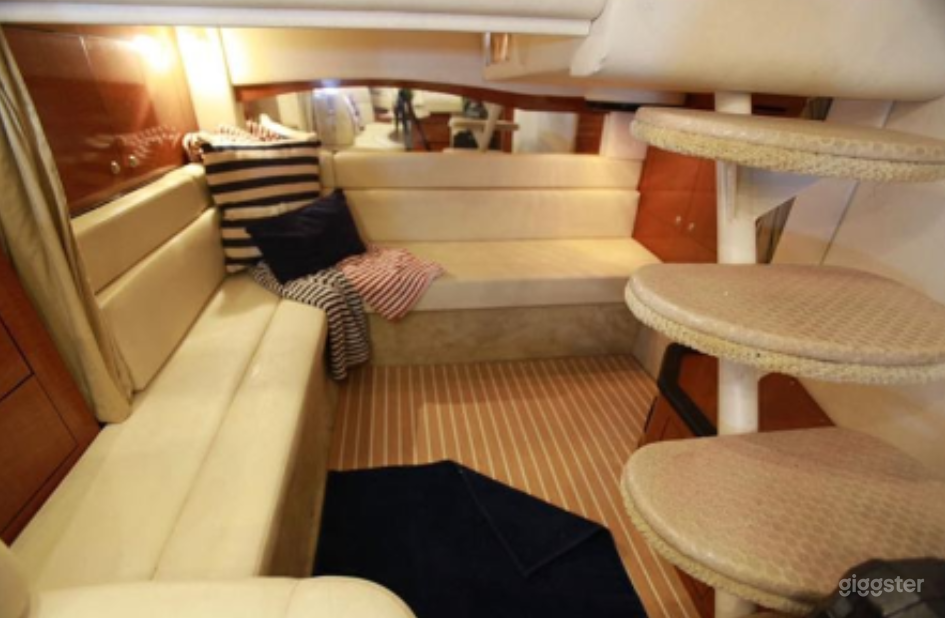 Fascinating 38ft Sea Ray Armando Party Boat Space Events Photo 4