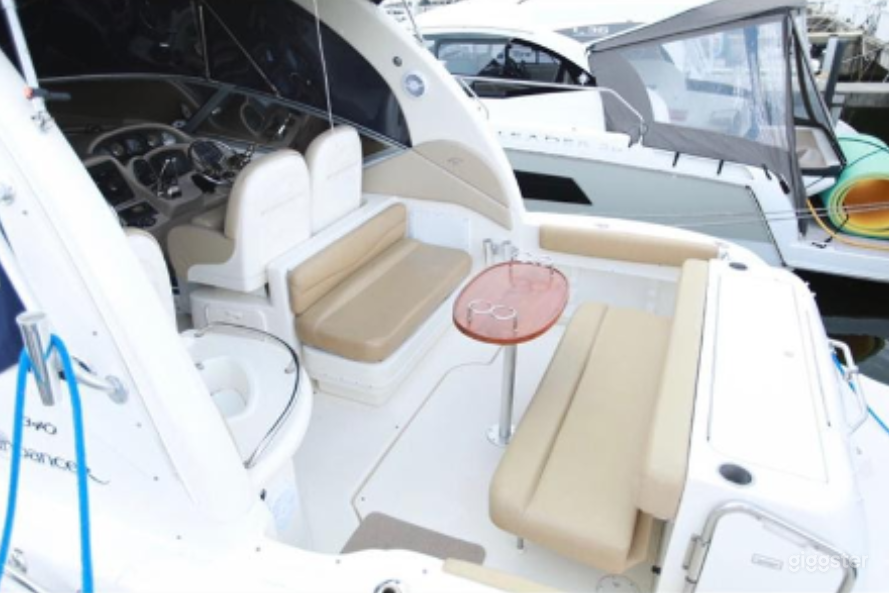 Fascinating 38ft Sea Ray Armando Party Boat Space Events Photo 2