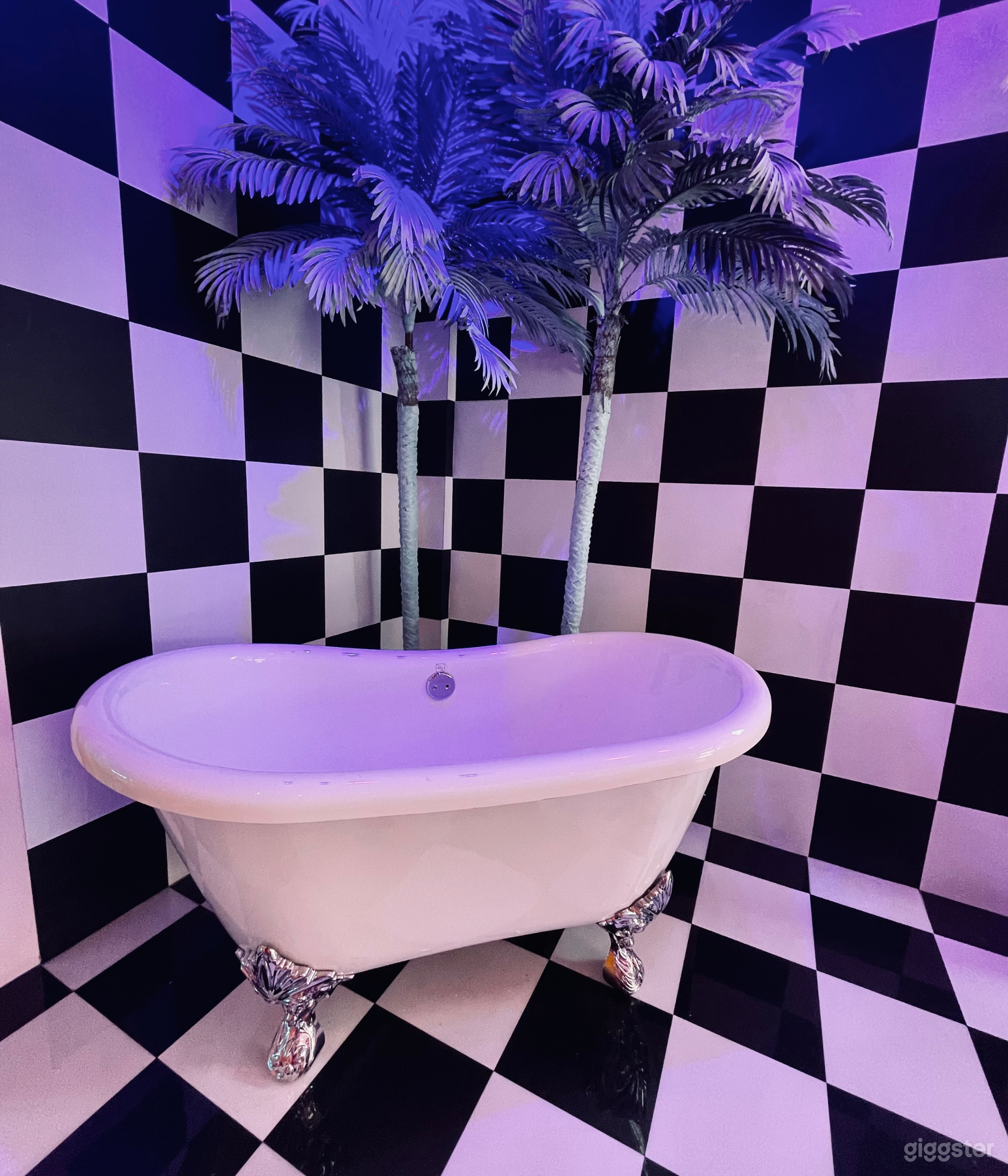 Colorful Photography Space with more than 20 sets! Photo 2