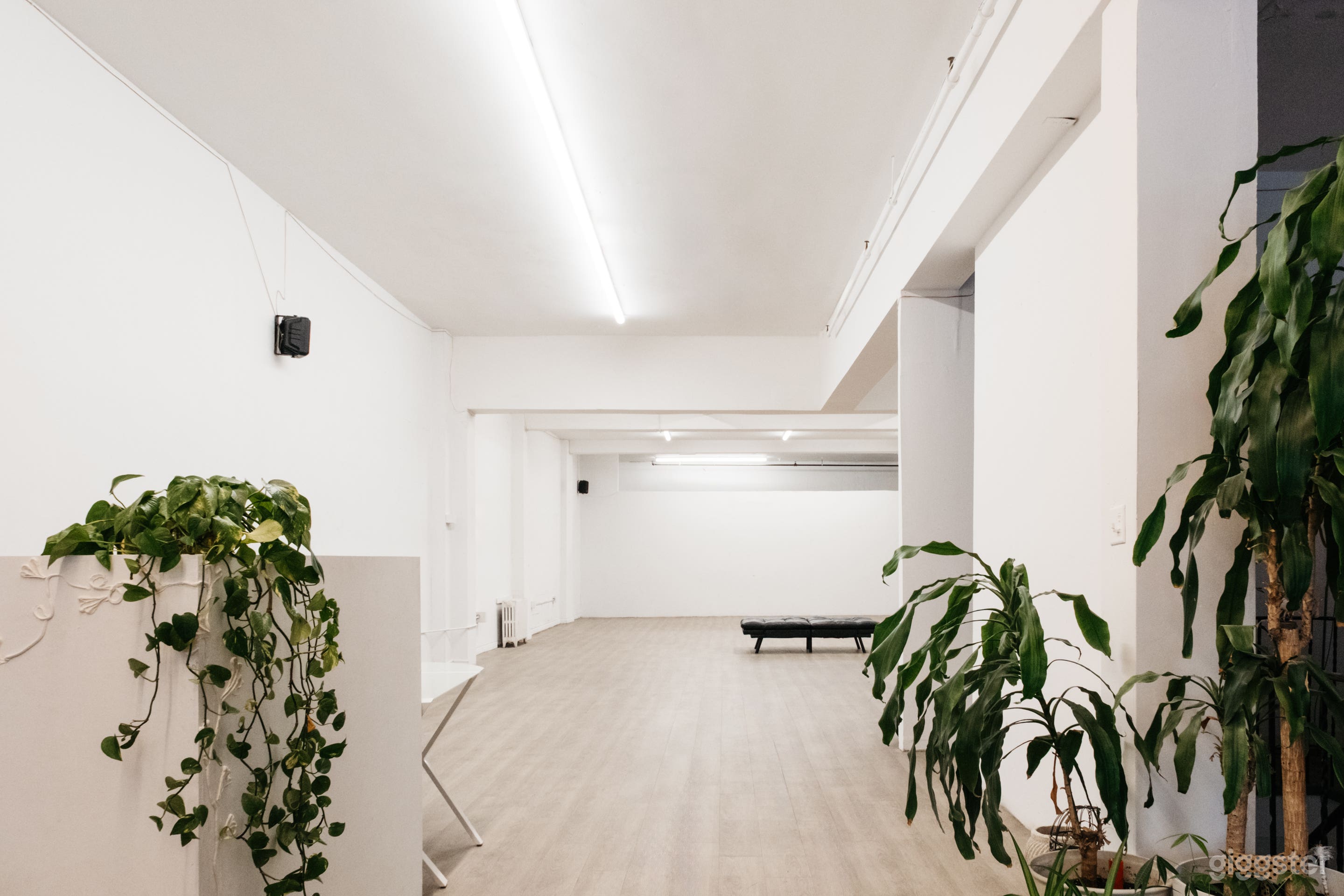 STUDIOS / Open Floor Photo 1