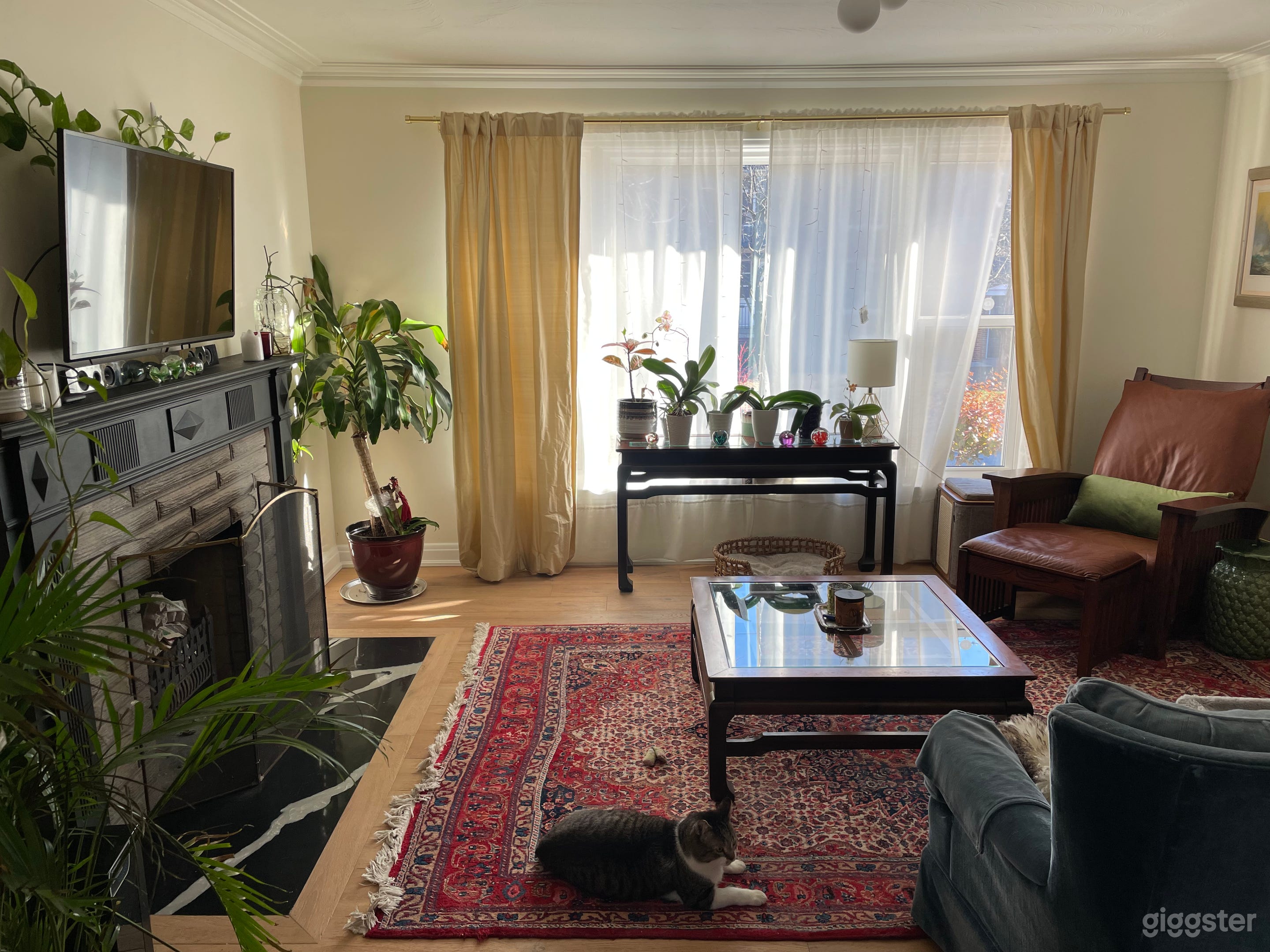 Mid century modern plant fantasy house Photo 1