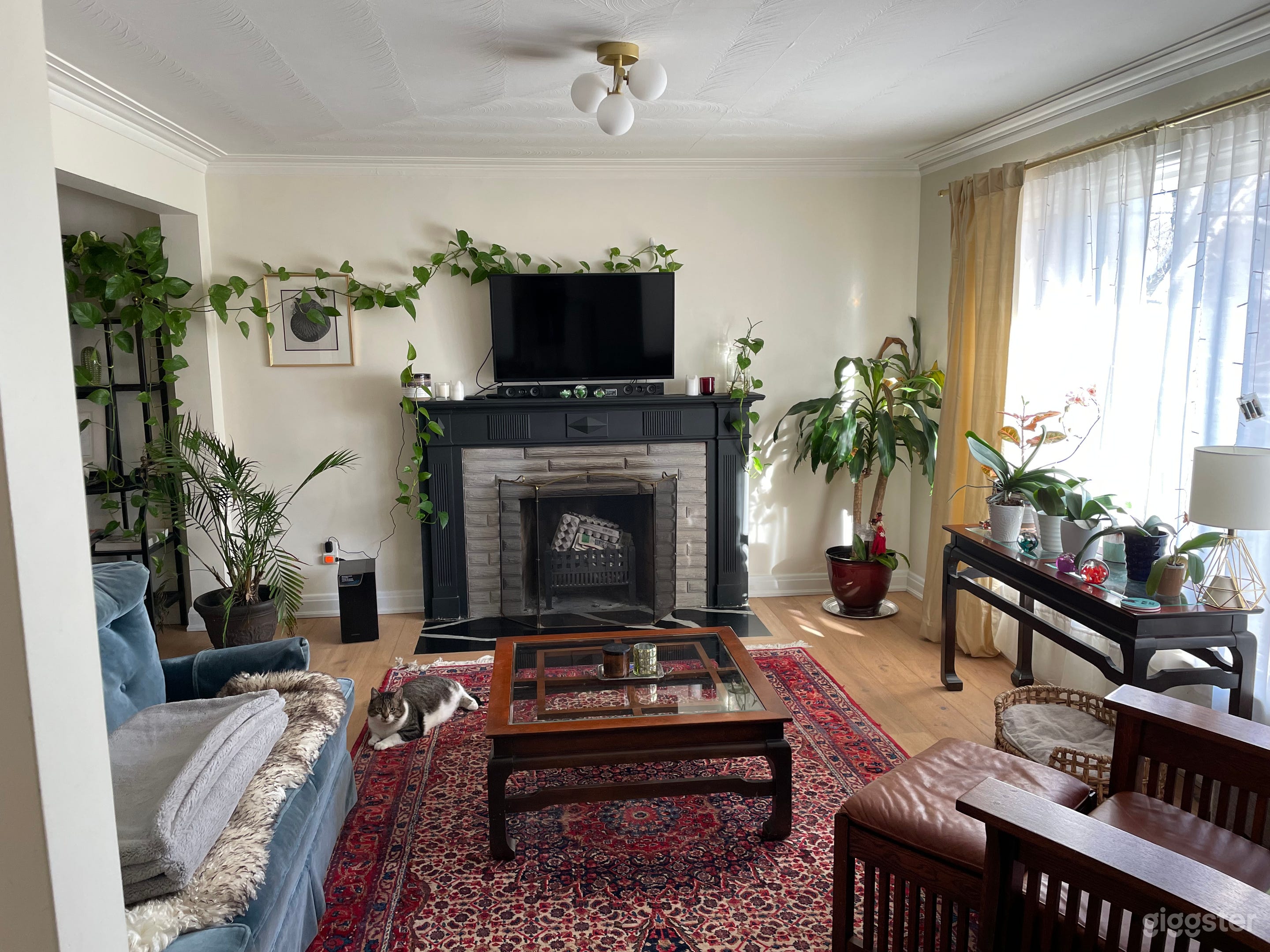 Mid century modern plant fantasy house Photo 3