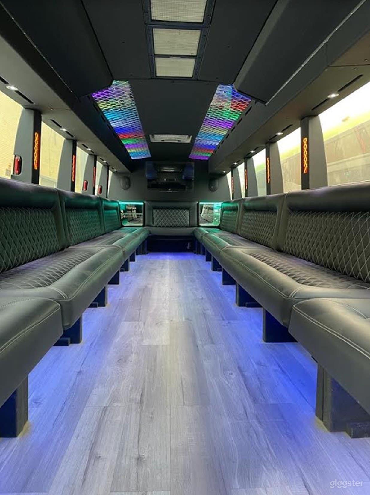 38-Person Party Bus Extravaganza Photo 3