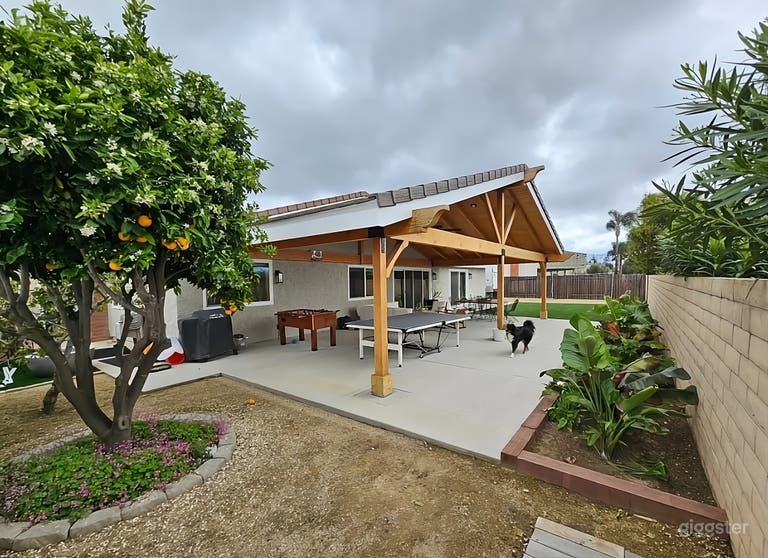  Ultimate Fun Backyard 