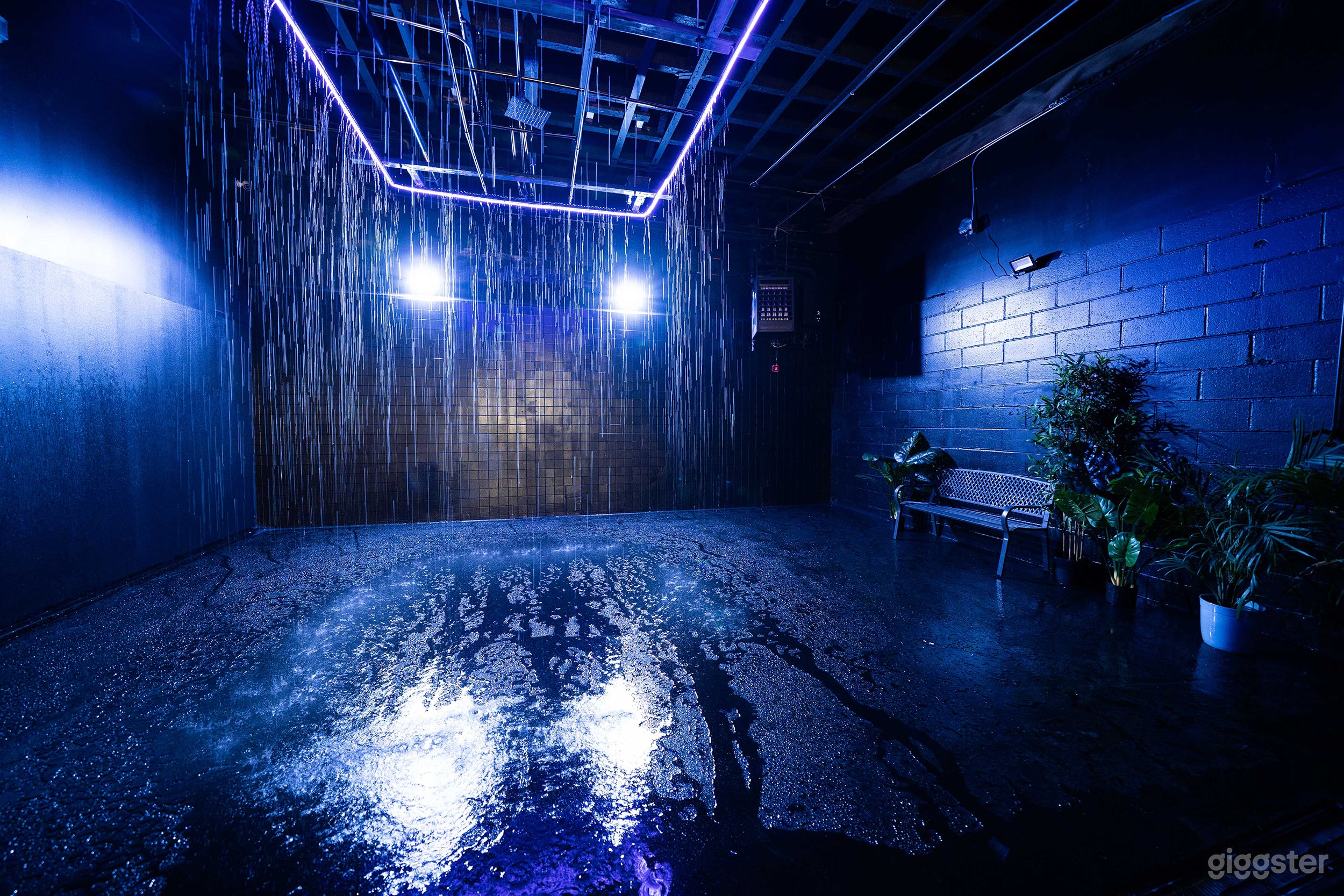 Rain Room in Brooklyn Photo 4