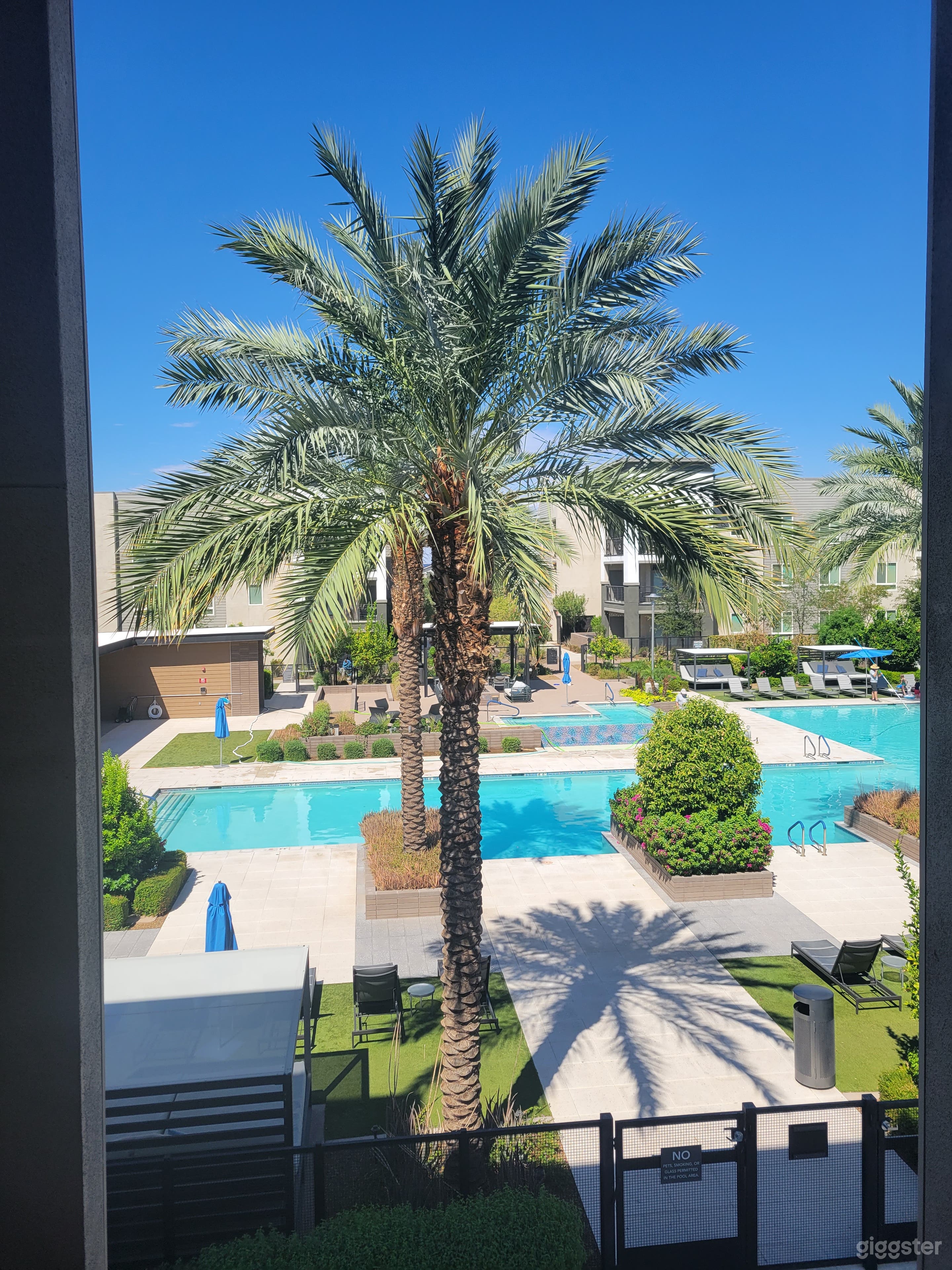 Luxurious Pool Day Photo 1