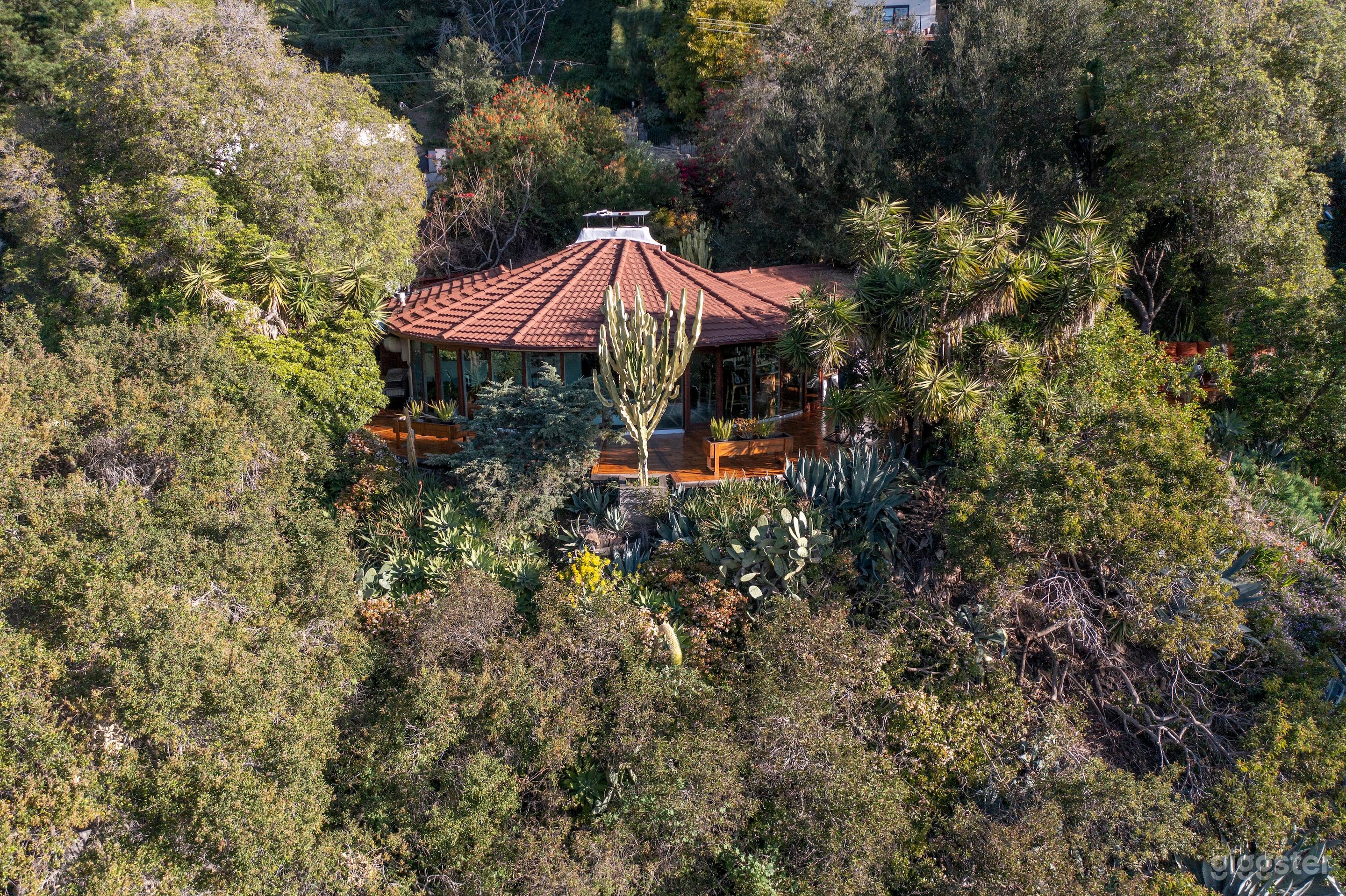 California Midcentury Treehouse 90210 Photo 1