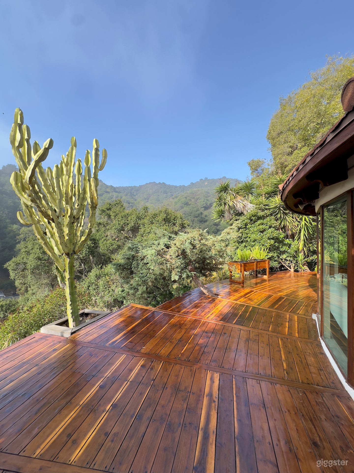 California Midcentury Treehouse 90210 Photo 1