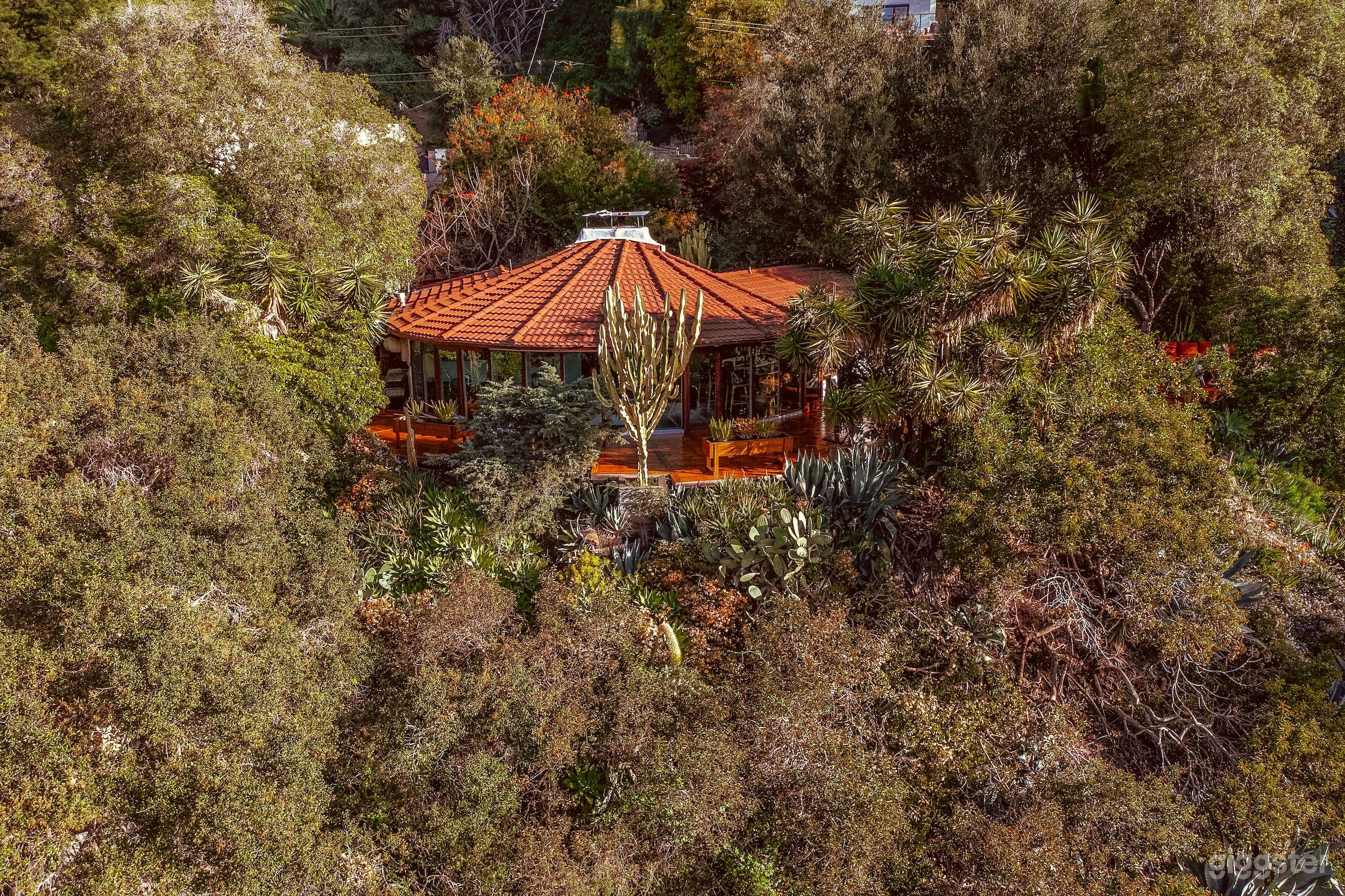 California Midcentury Treehouse 90210 Photo 2