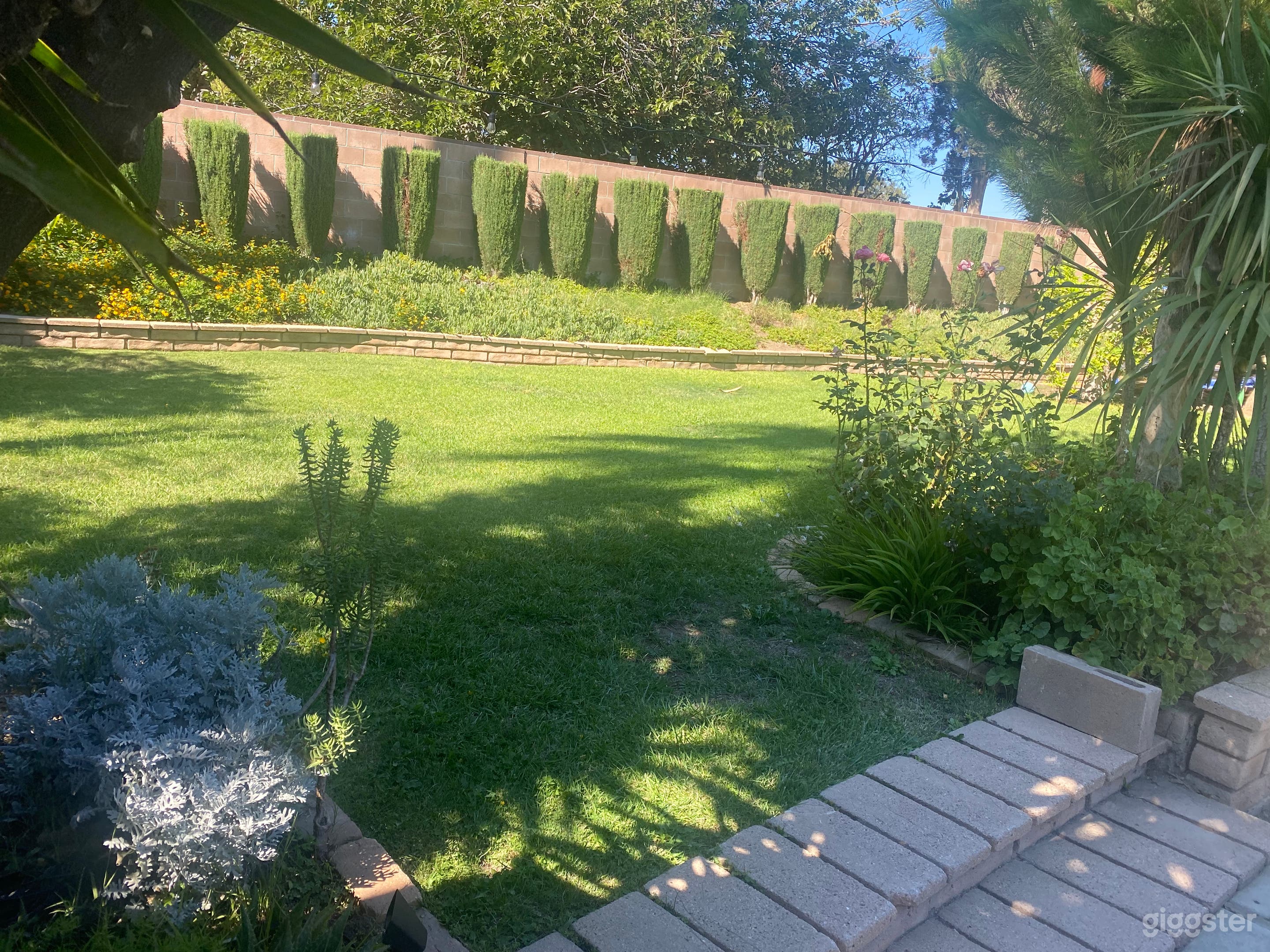 MidCentury Oasis Photo 1