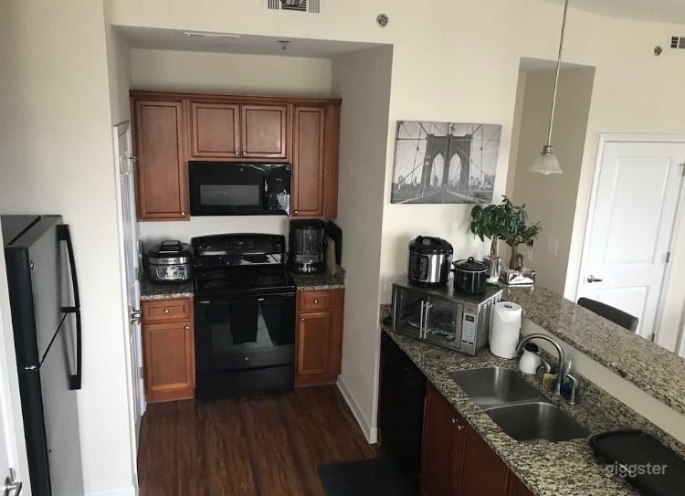 Luxury Penthouse Suite Photo 3