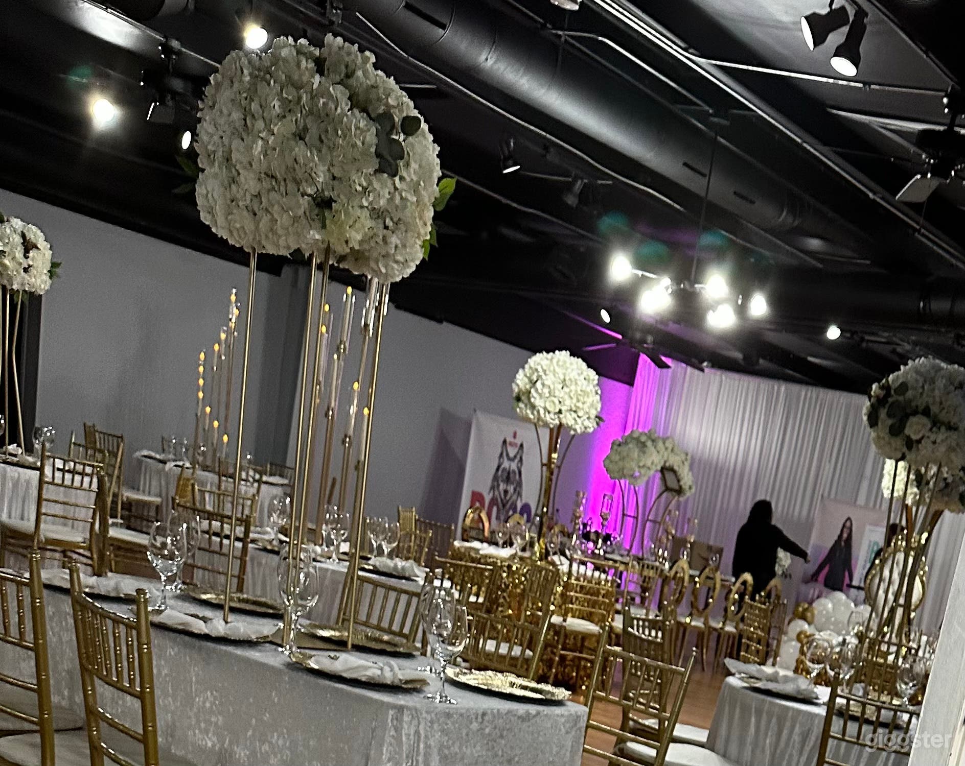 Contemporary Ceiling space multi-function area