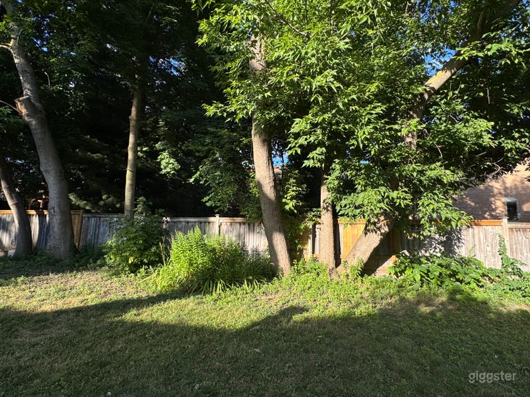  Backyard (right) 