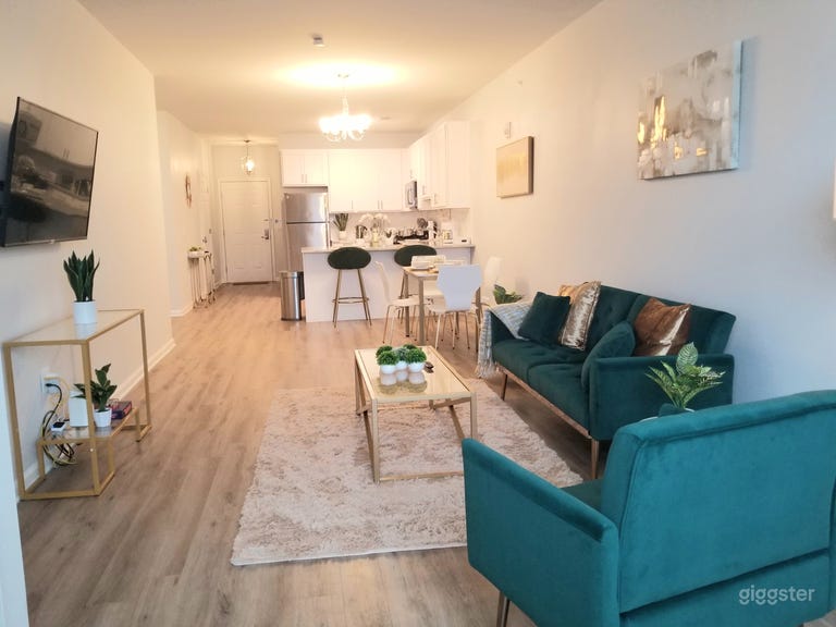  APPARTEMENT LUXUEUX ET SPACIEUX PARFAIT POUR FILMS ET PHOTOS !!!! 