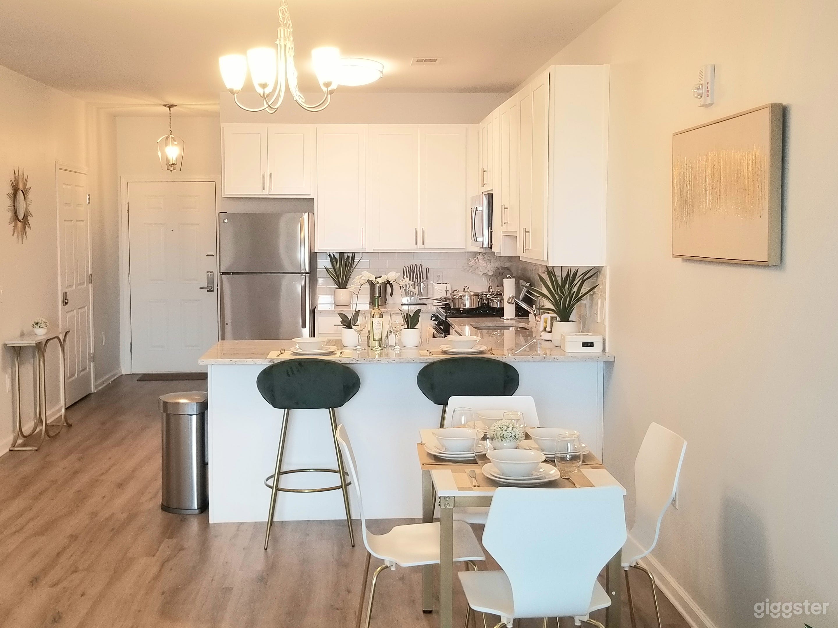 SPACIOUS LUXURY APT GREAT FOR FILMS AND PHOTOS!!!! Photo 3