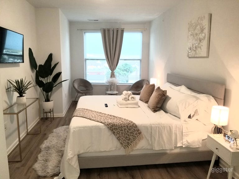  APPARTEMENT LUXUEUX ET SPACIEUX PARFAIT POUR FILMS ET PHOTOS !!!! 
