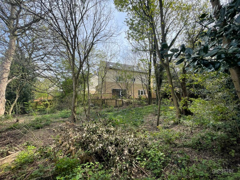  Wooded Garden  