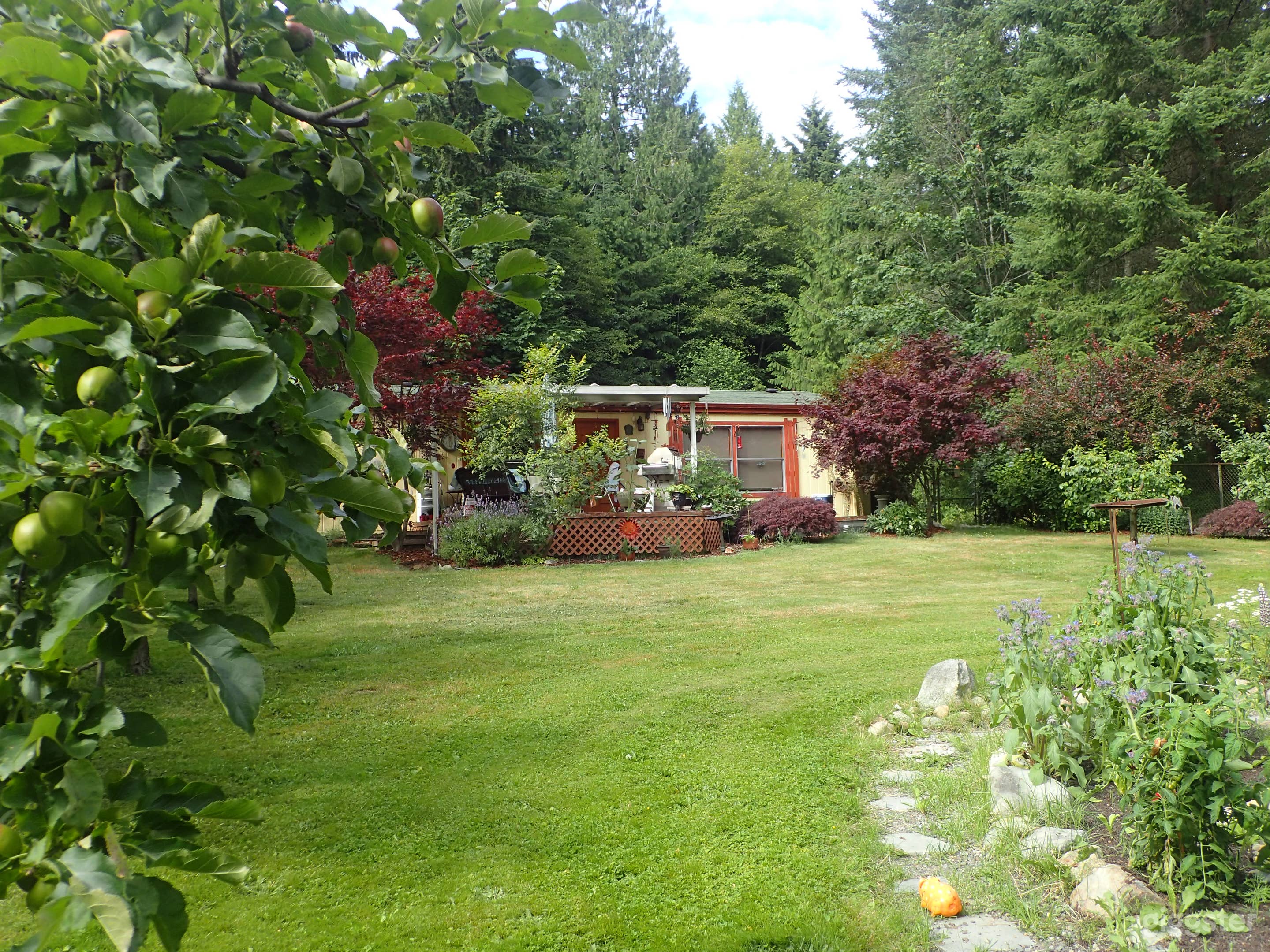 The house looking from the Orchard