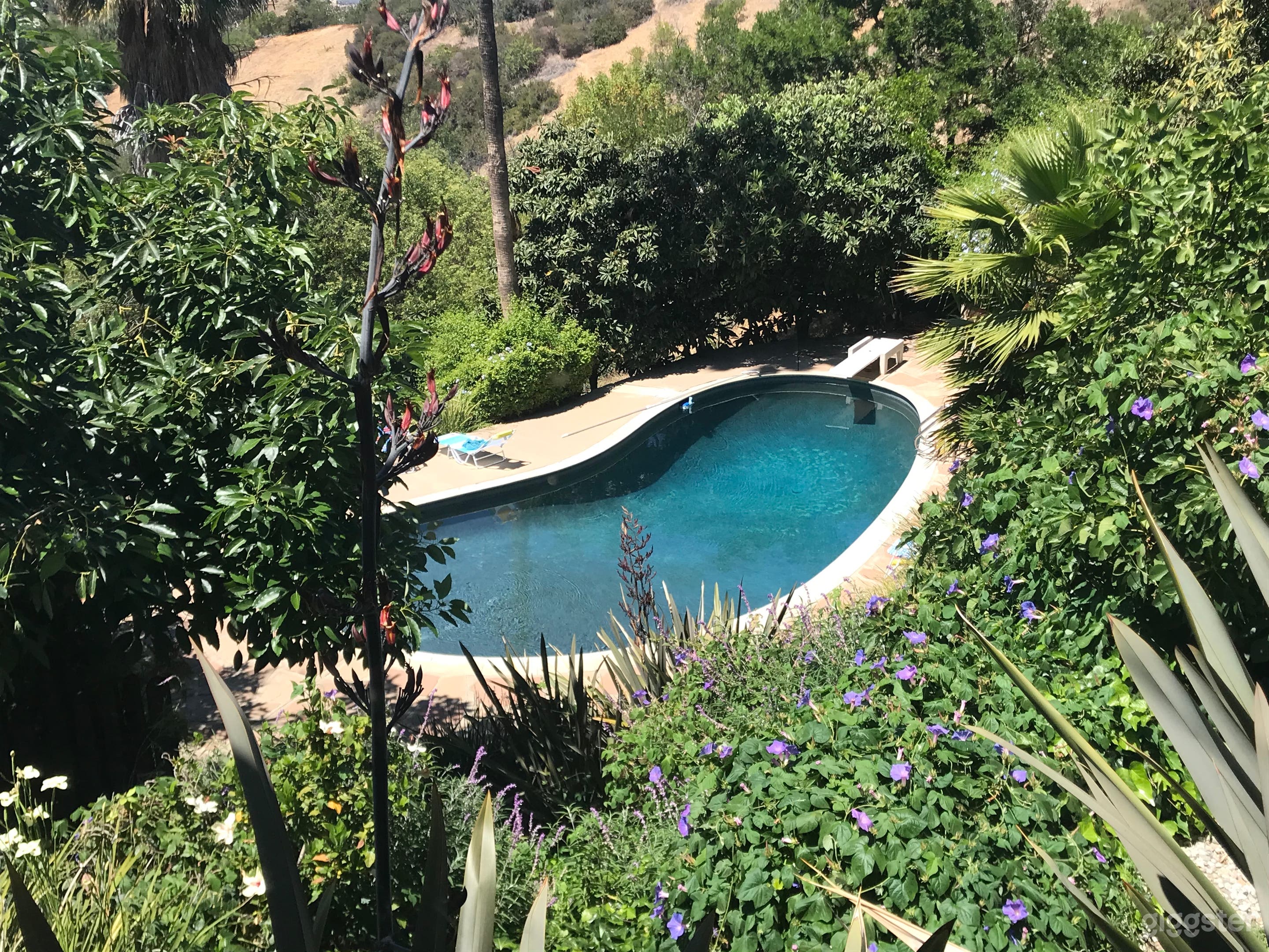 Modern Hillside Home With Pool and Views Photo 1