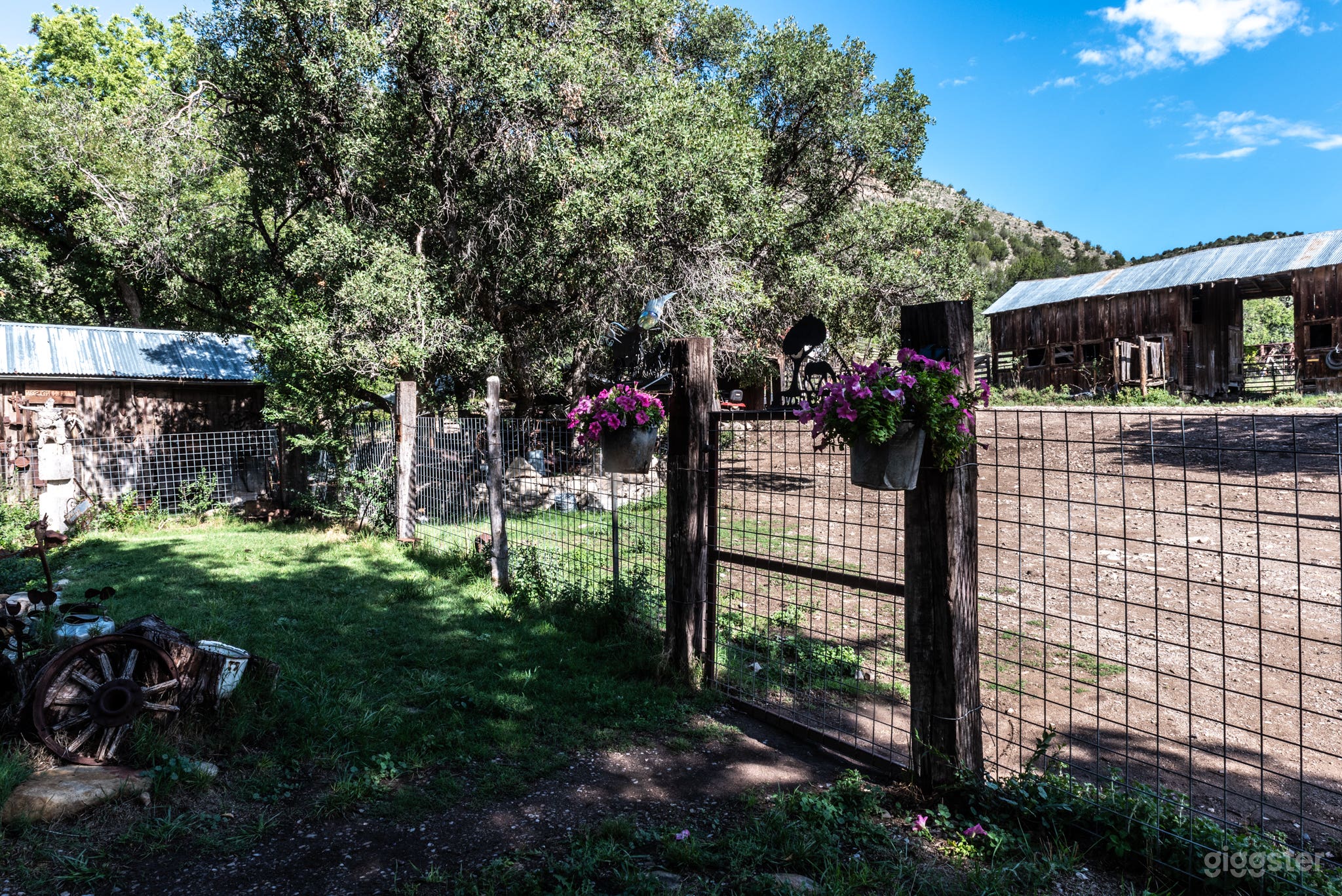 Emil Fritz Spring Photo 4