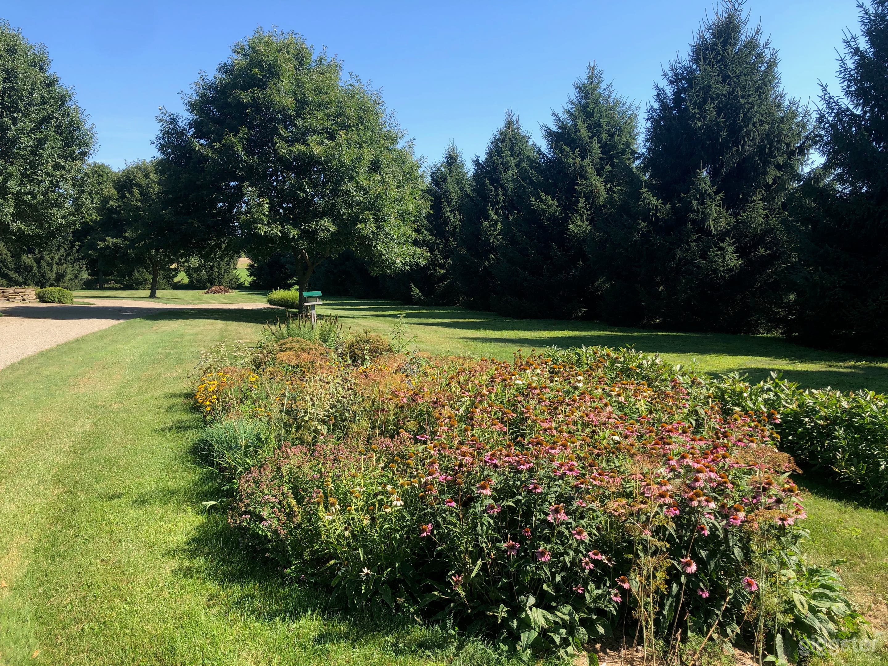 Landscaped country living. Photo 3