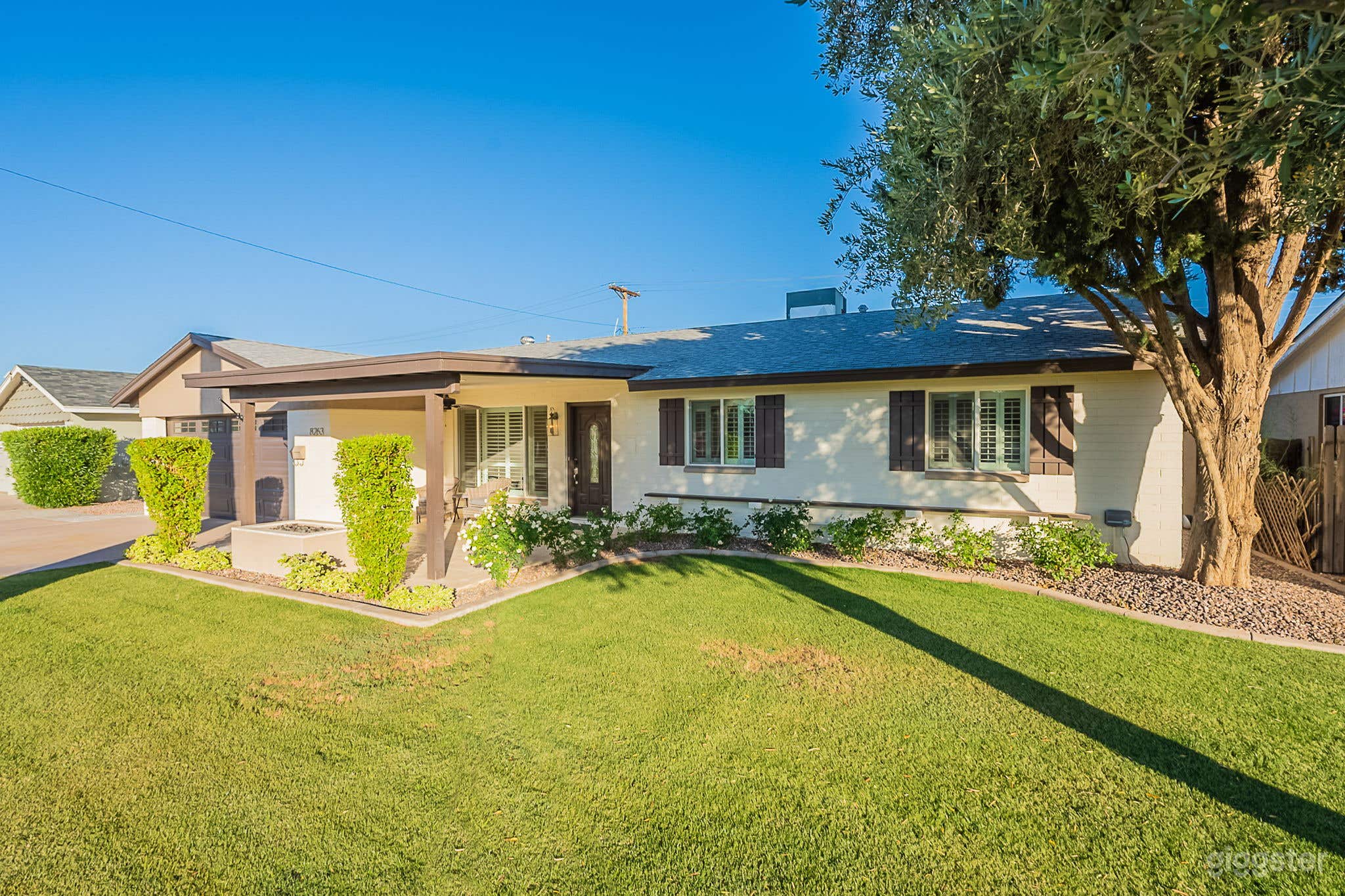 Scottsdale Golden Cactus Retreat Photo 2