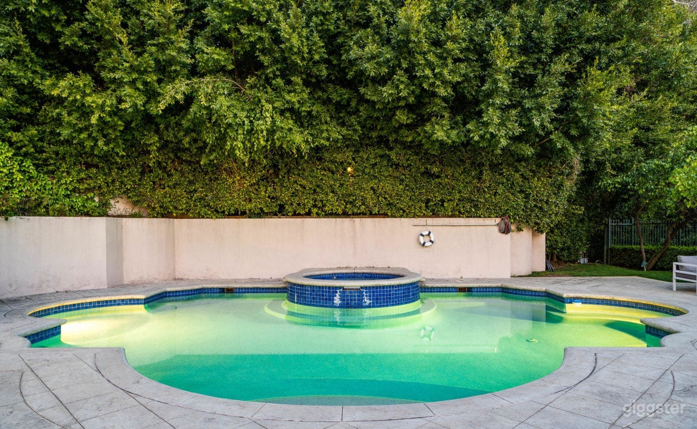  NEO-CLASSICAL LUXURY ESTATE: PERFECT/POOL Photo 4