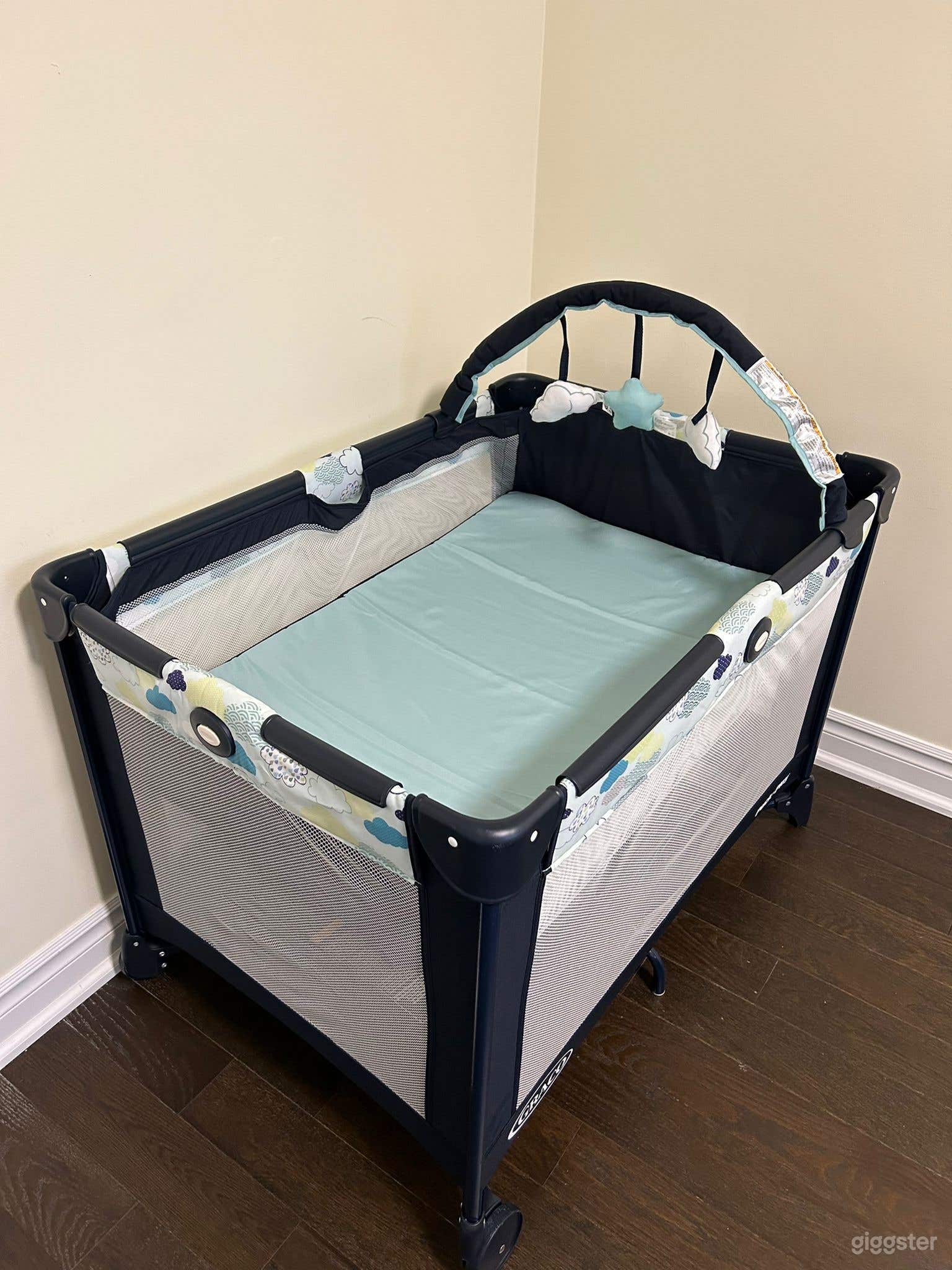 Luxury Single Level in North York Photo 2