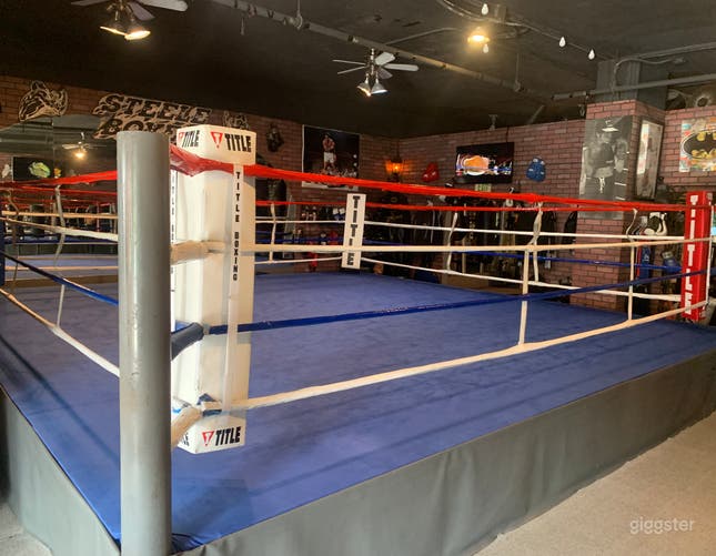 Rent Professional Boxing Gym for Filming in Marina Del Rey Giggster
