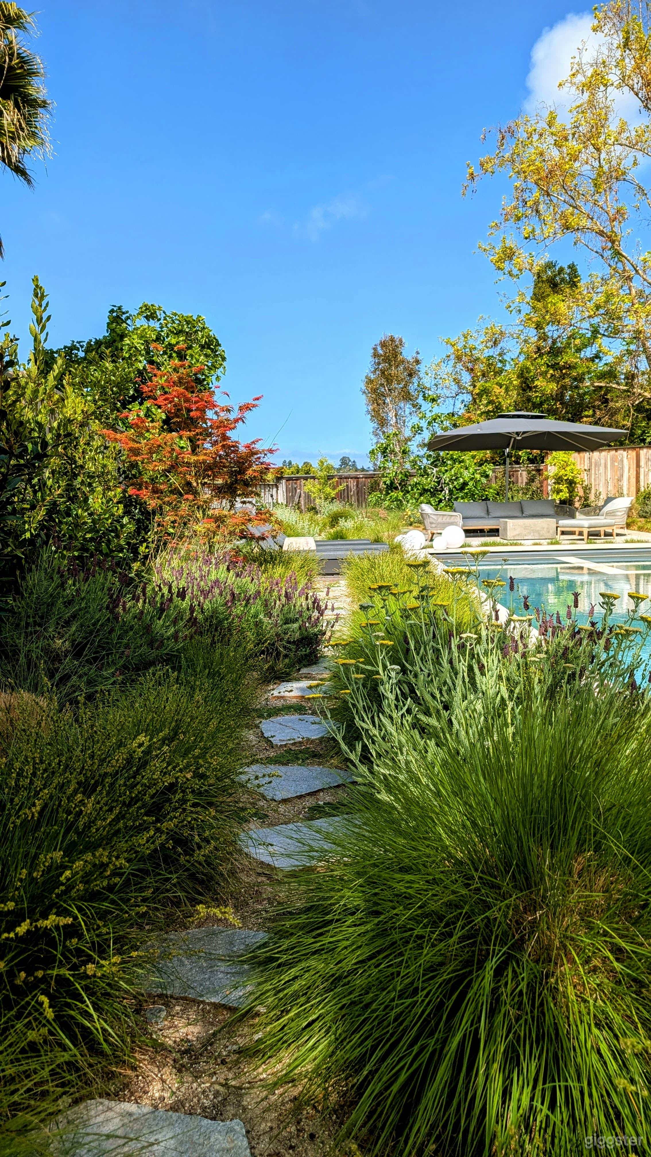 Modern Coastal Resort Backyard with Stunning Pool Photo 4