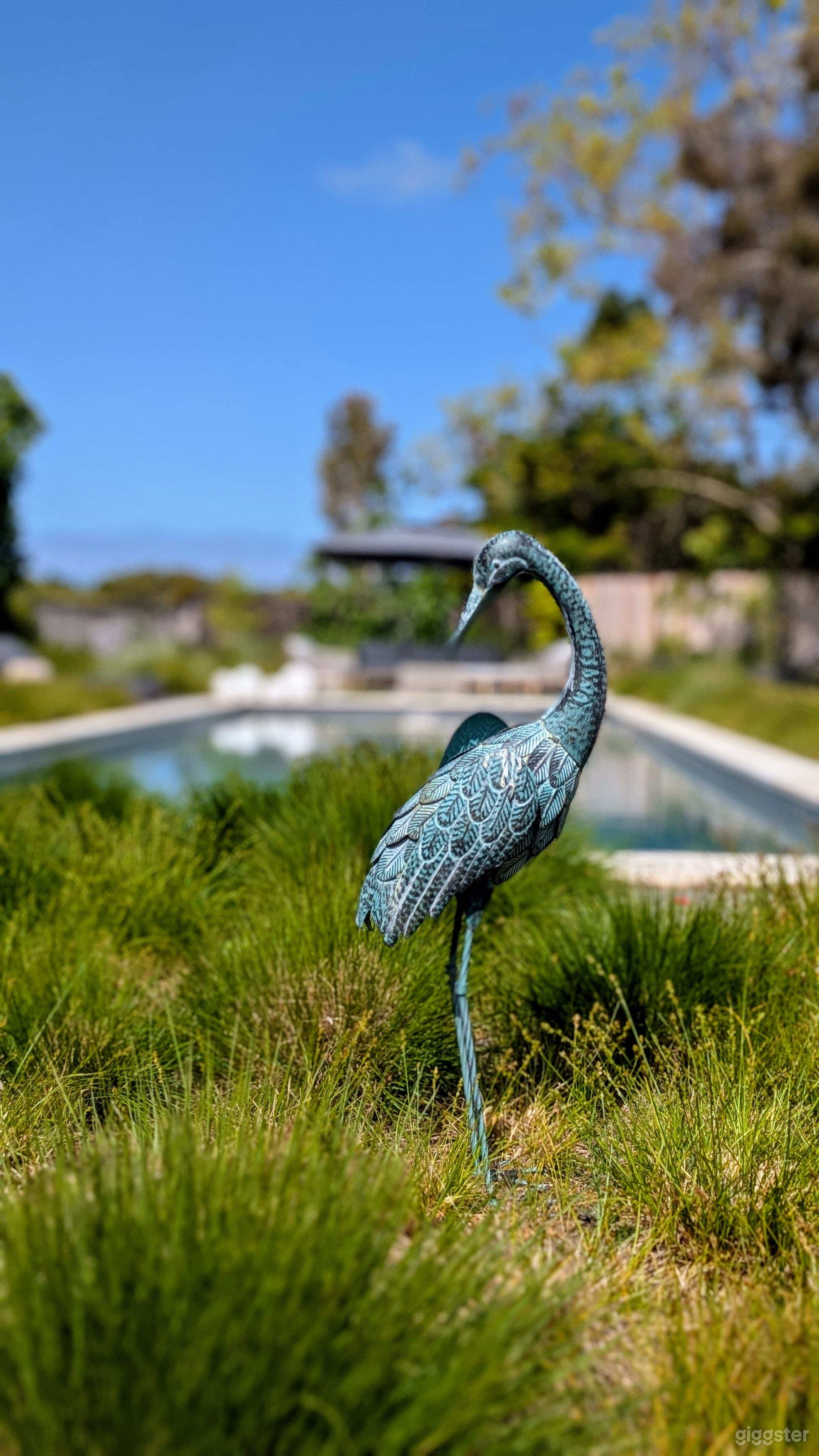 Modern Coastal Resort Backyard with Stunning Pool Photo 3
