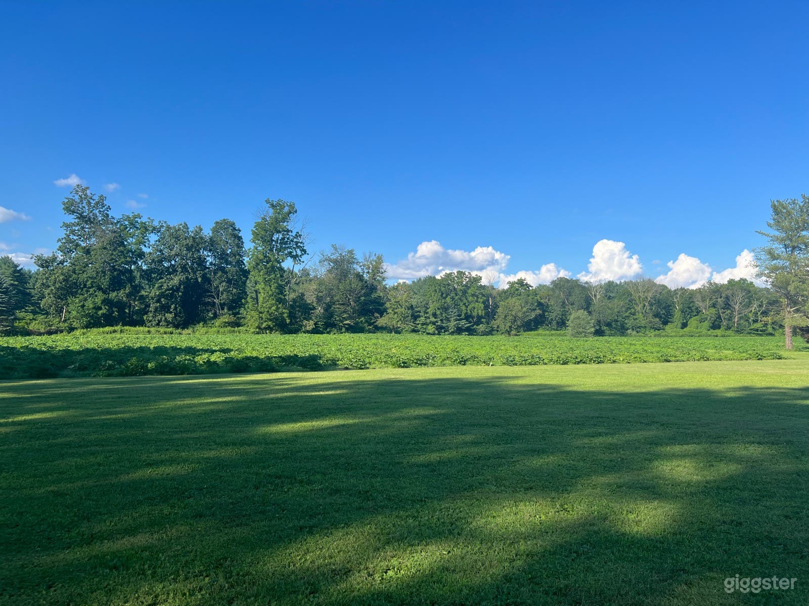 Beautiful 30-acre farm with pond and old barns Photo 3