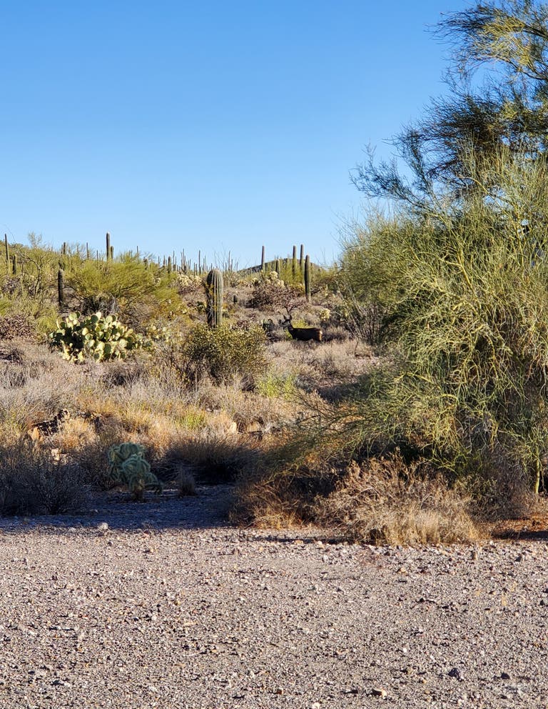 Private Scout Ranch Camp Ground 