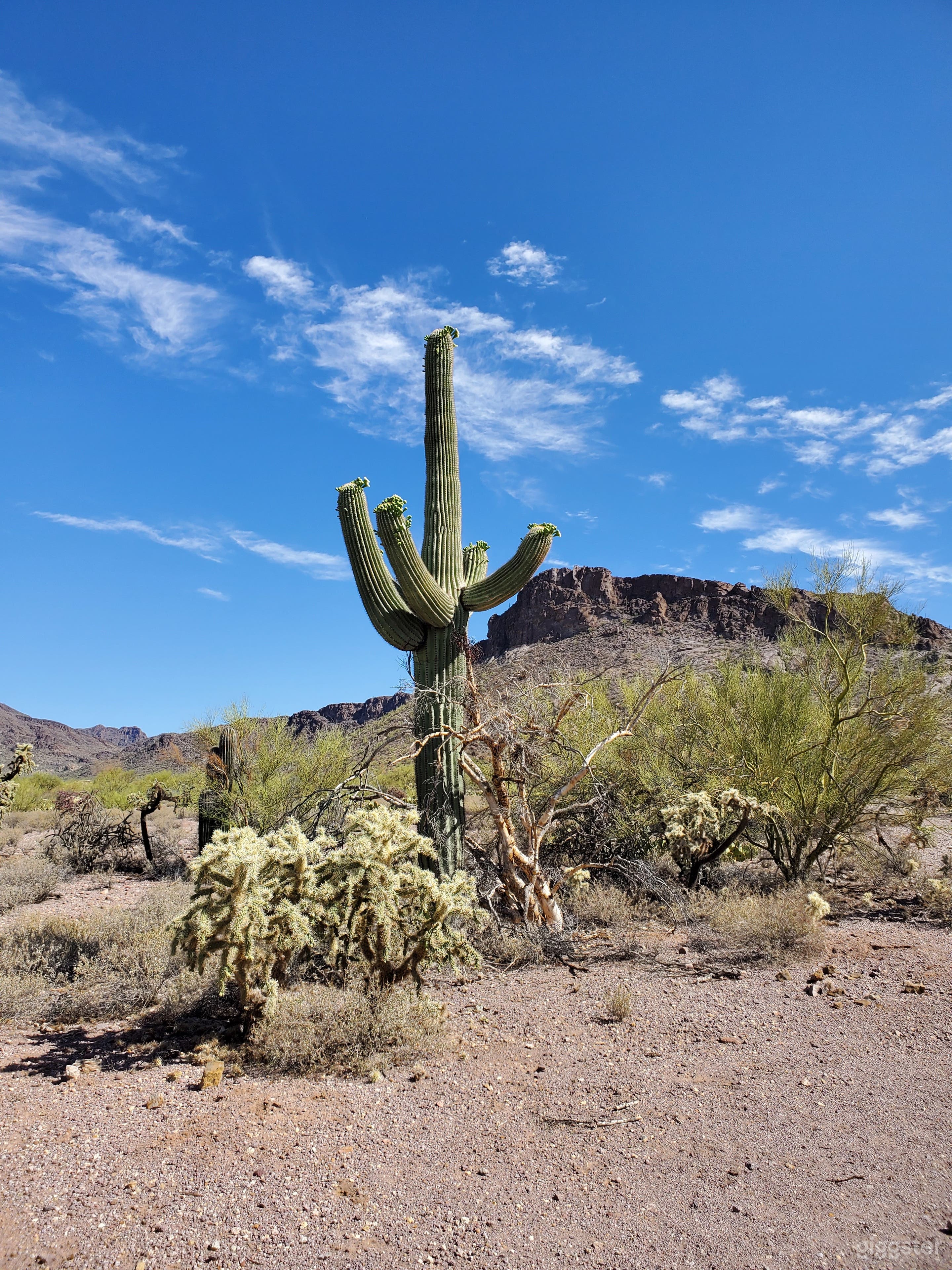 Private Scout Ranch Camp Ground Photo 3