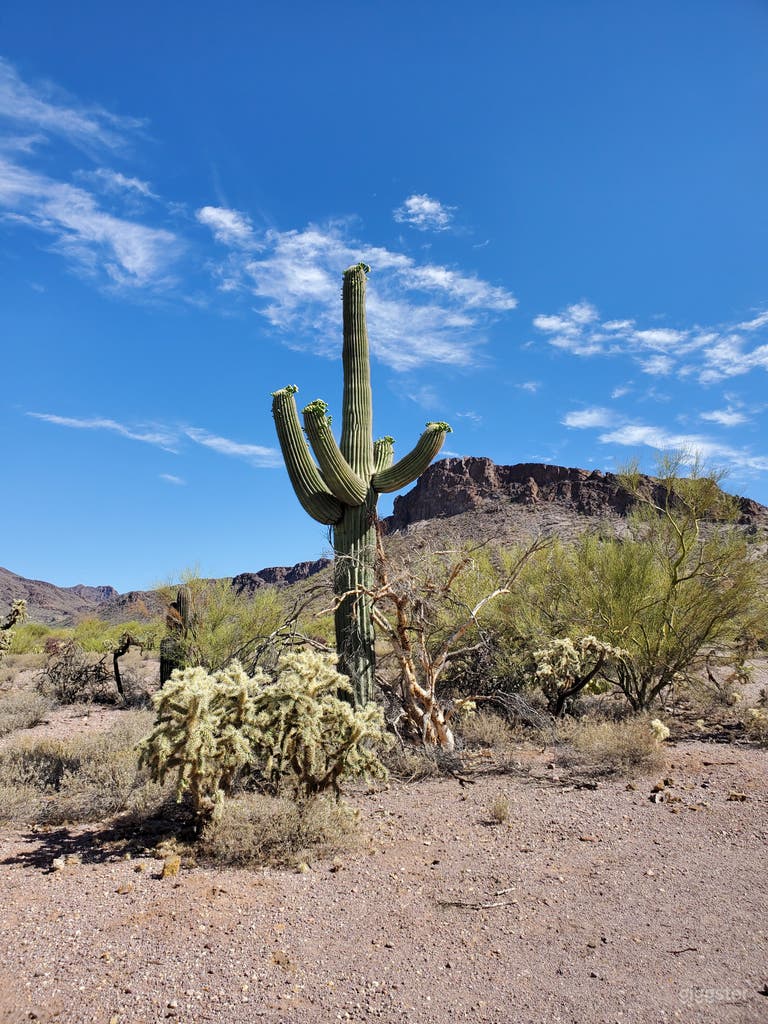  Private Scout Ranch Camp Ground 