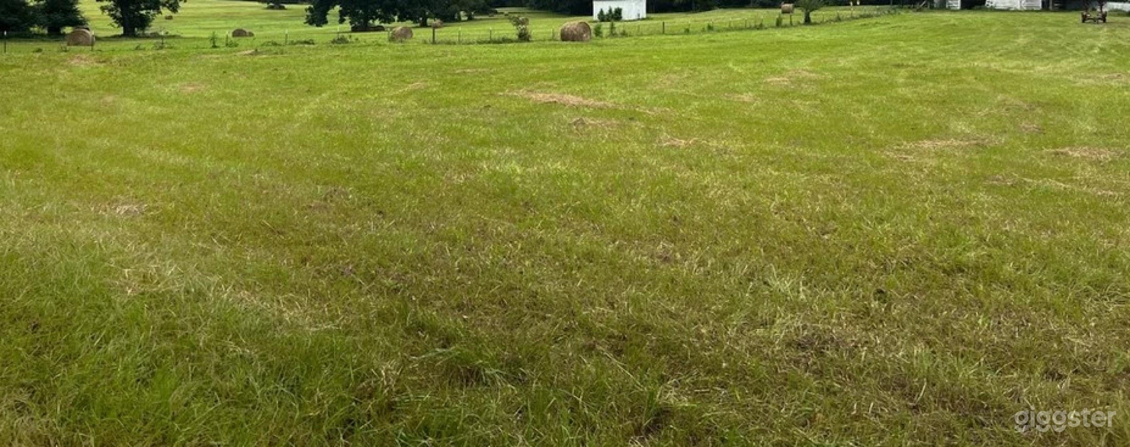 Expansive And Versatile Large Barn Photo 2