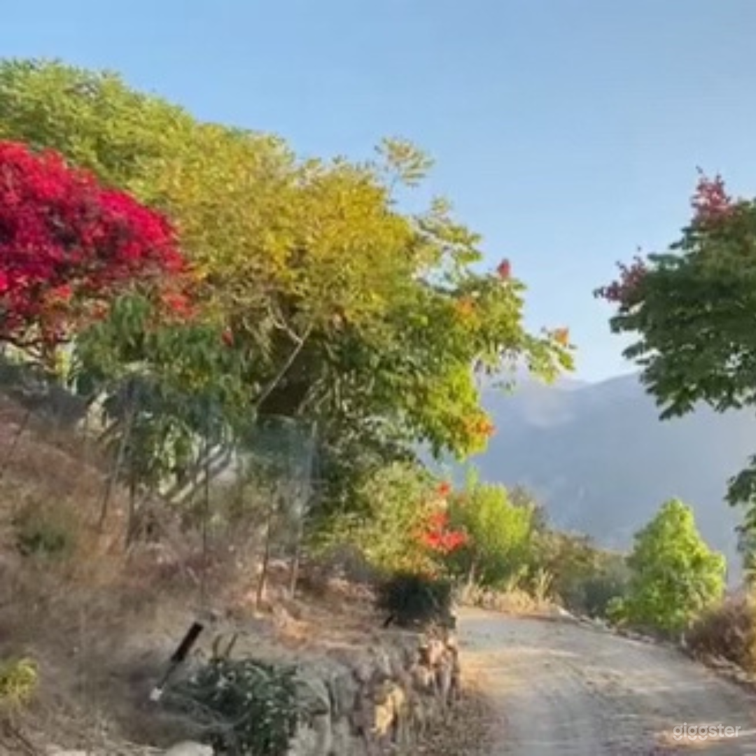 Malibu estate: mountain-ocean view, easy access  Photo 4